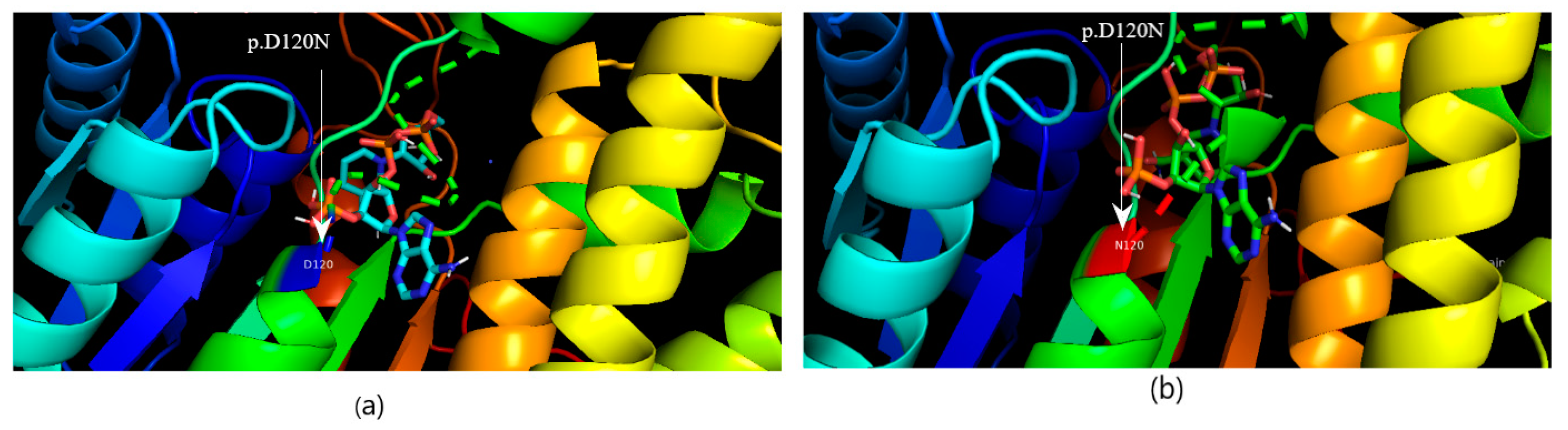 Medicina 60 01540 g005