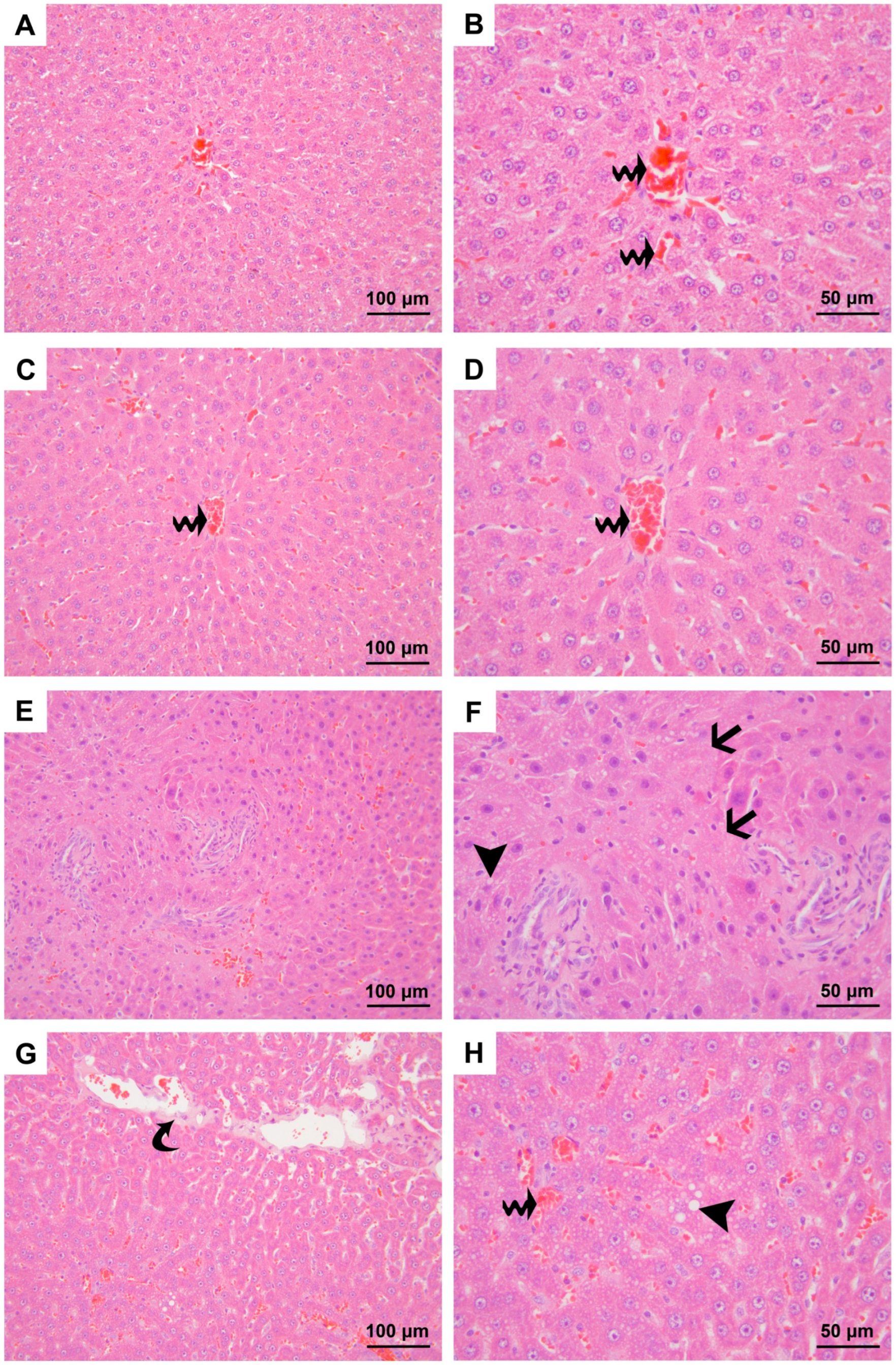 Medicina 60 01552 g001