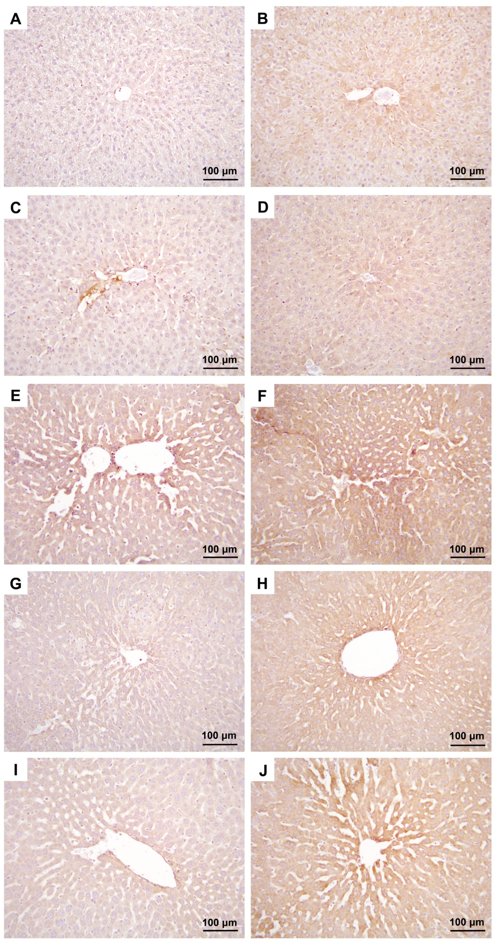 Medicina 60 01552 g003