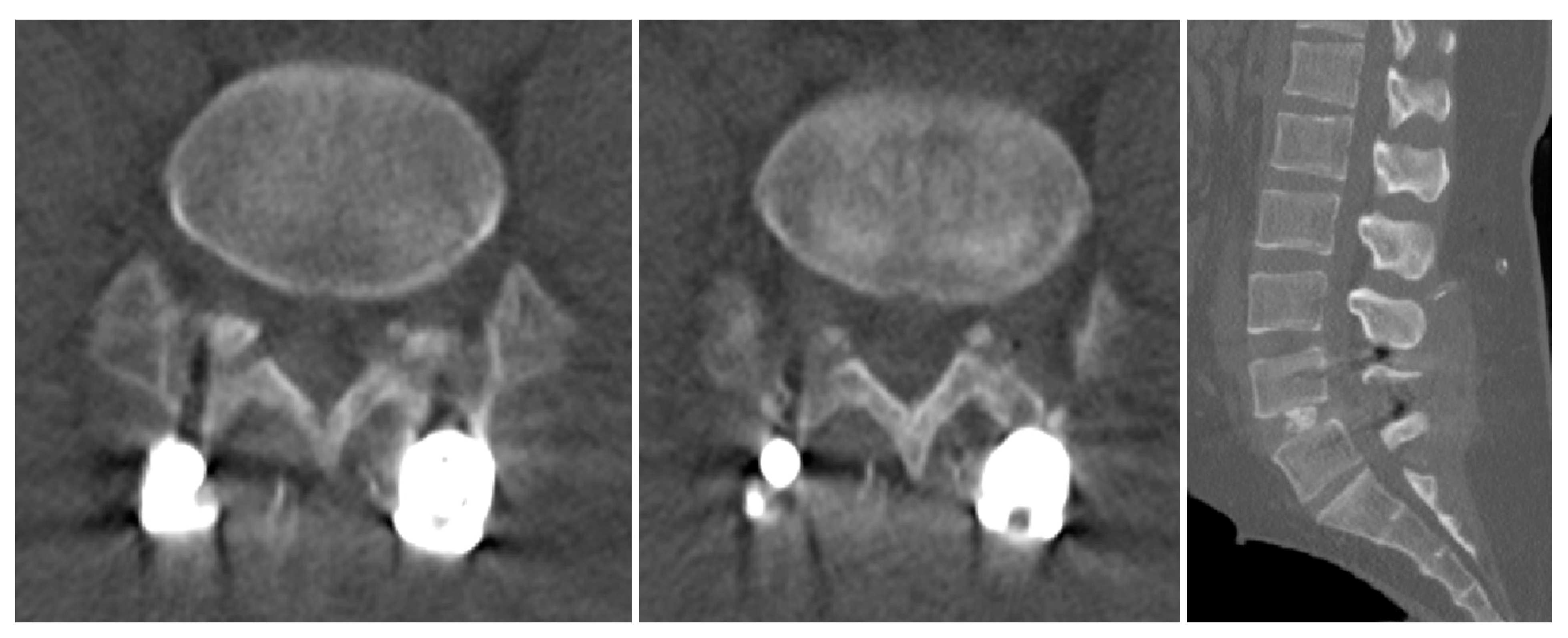 Medicina 60 01554 g002