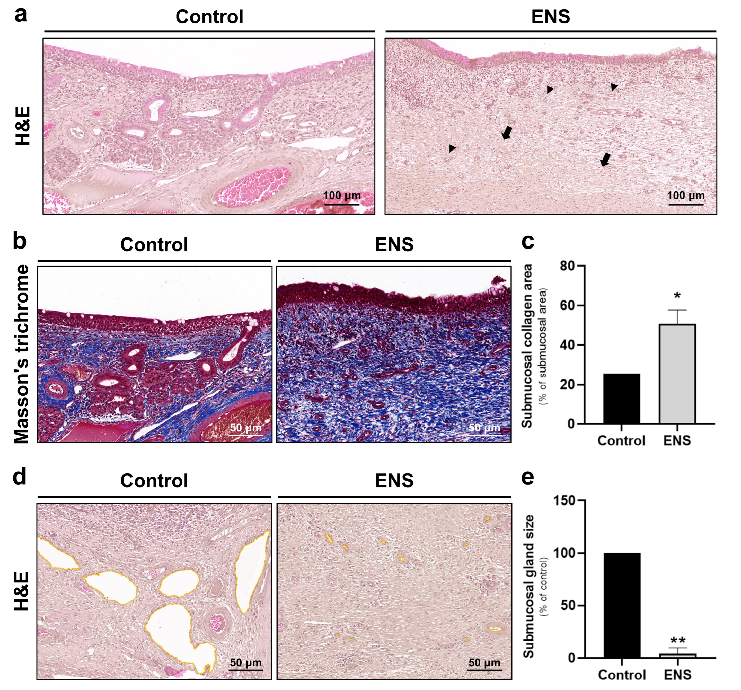 Medicina 60 01559 g006