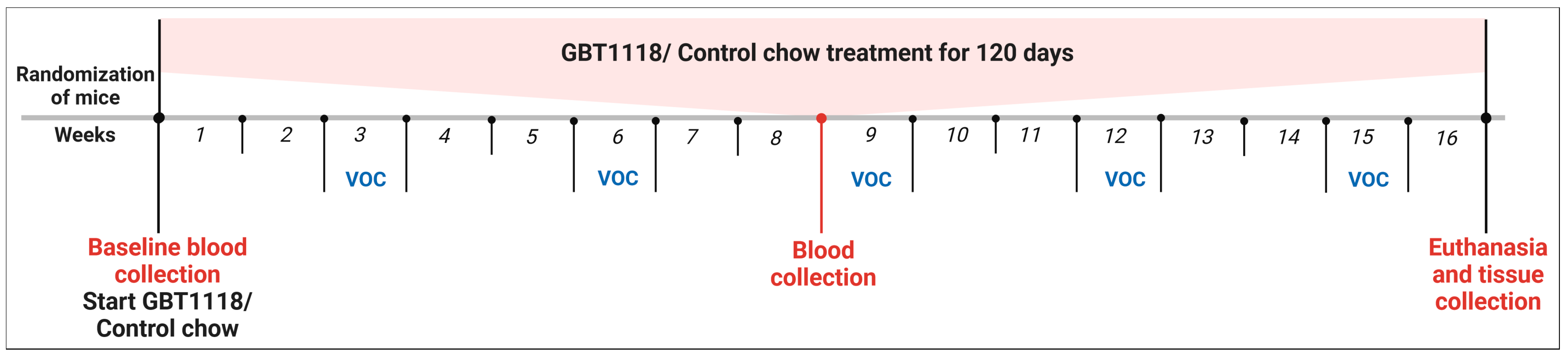 Medicina 60 01581 g001