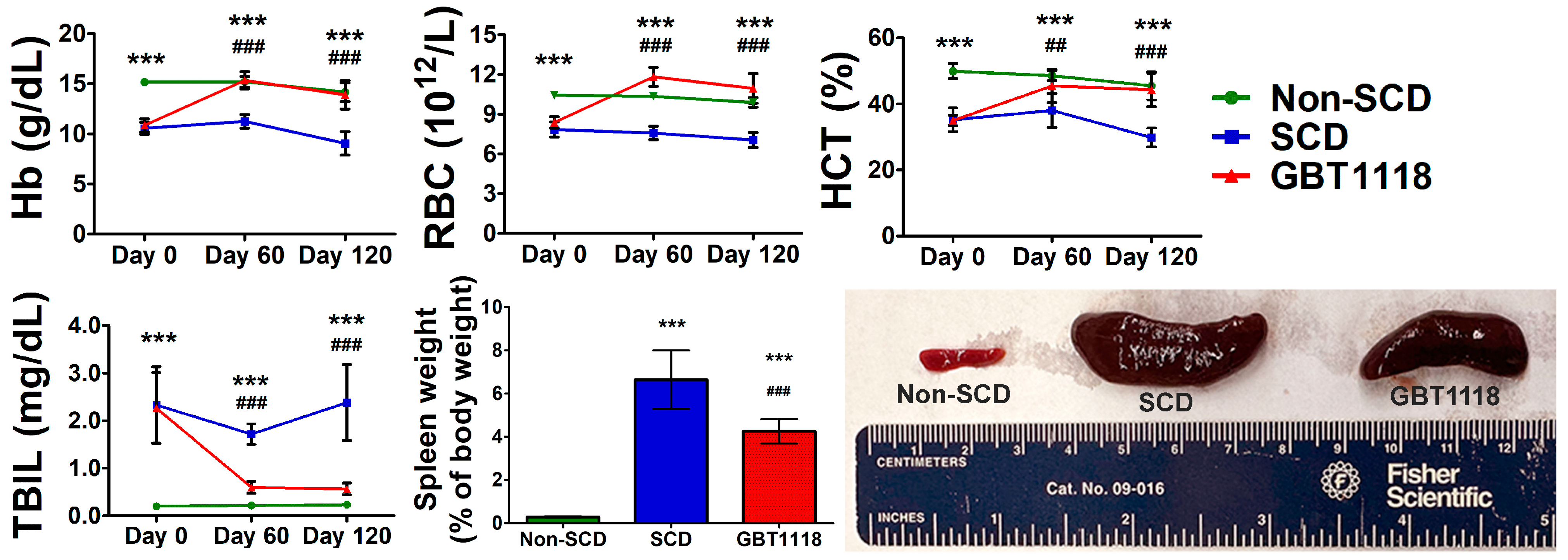 Medicina 60 01581 g002