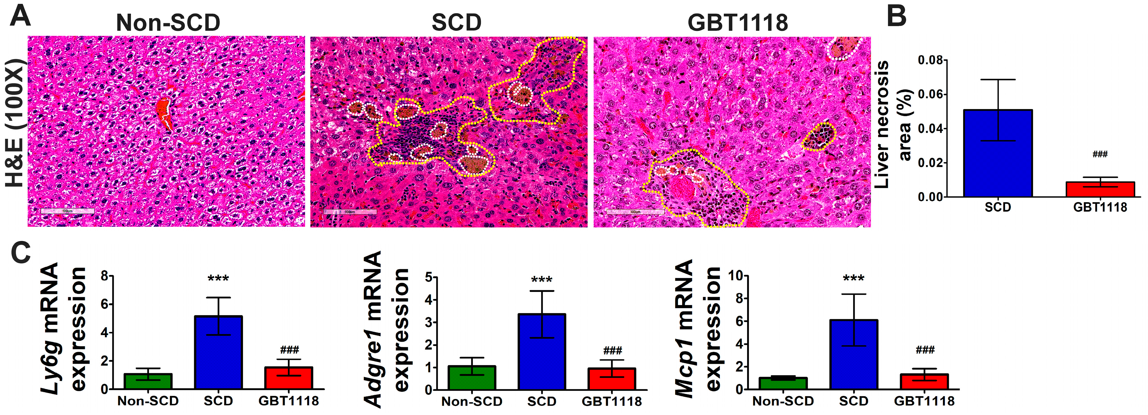 Medicina 60 01581 g004