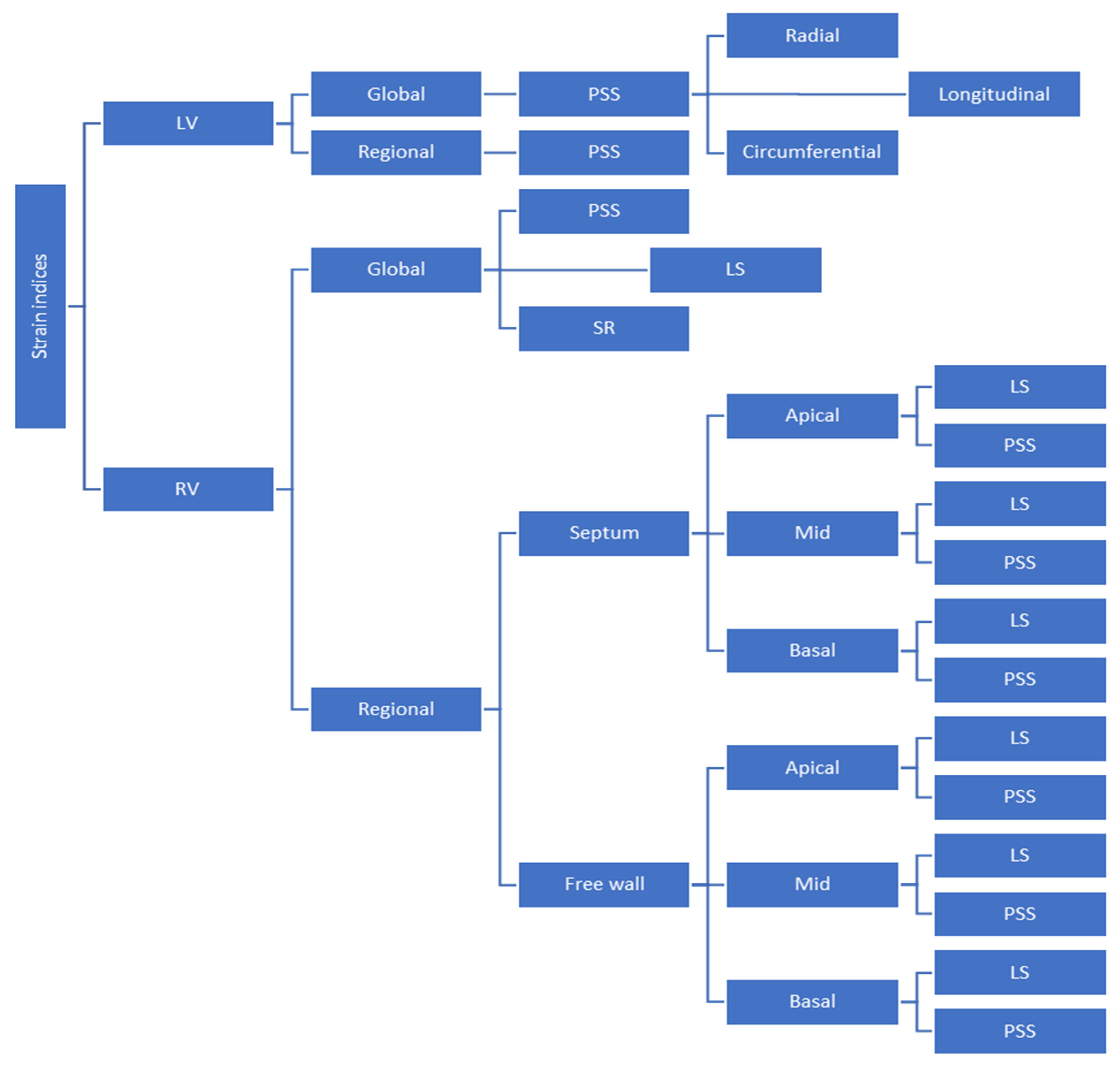 Medicina 60 01586 g001