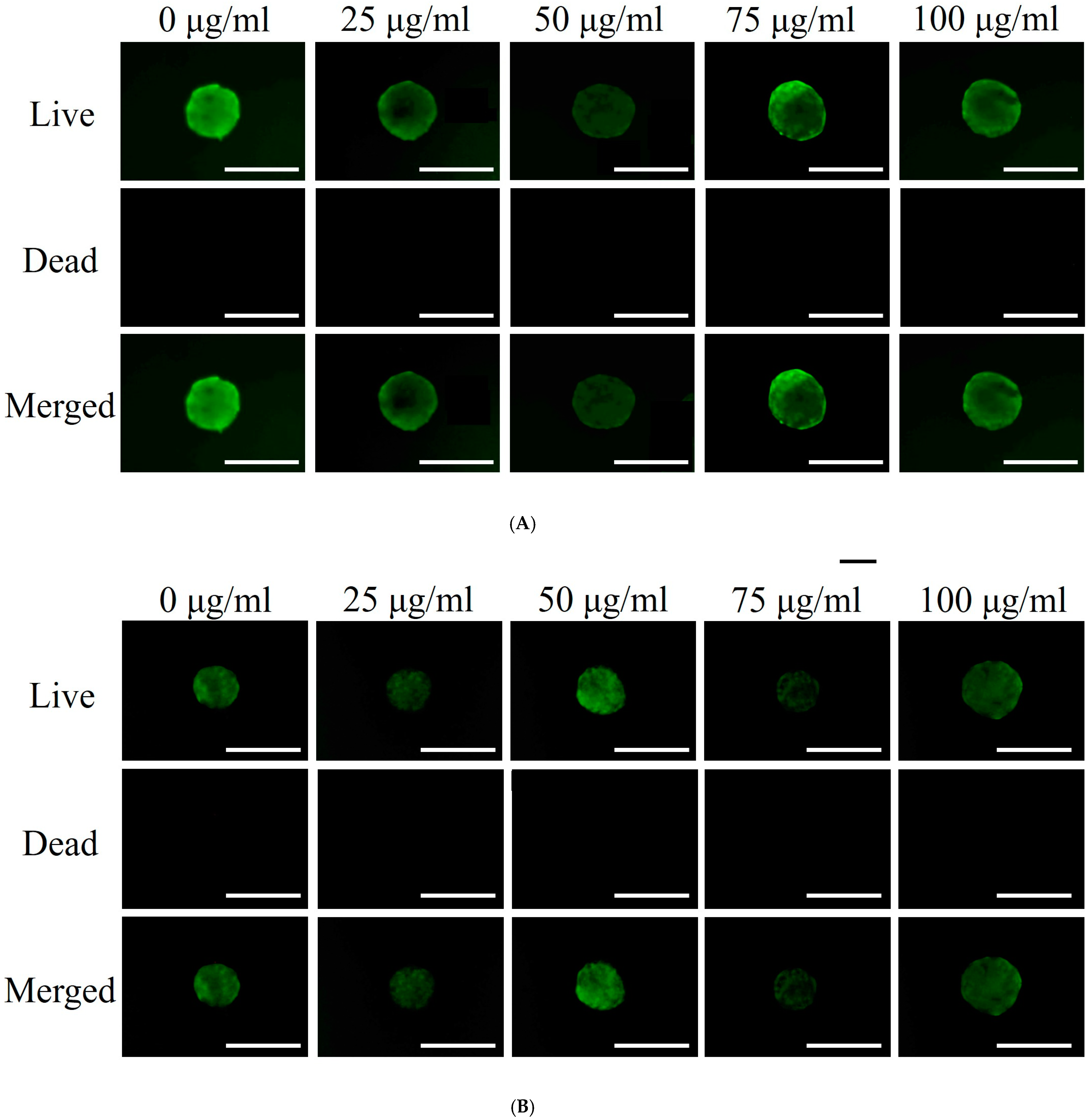 Medicina 60 01610 g002a