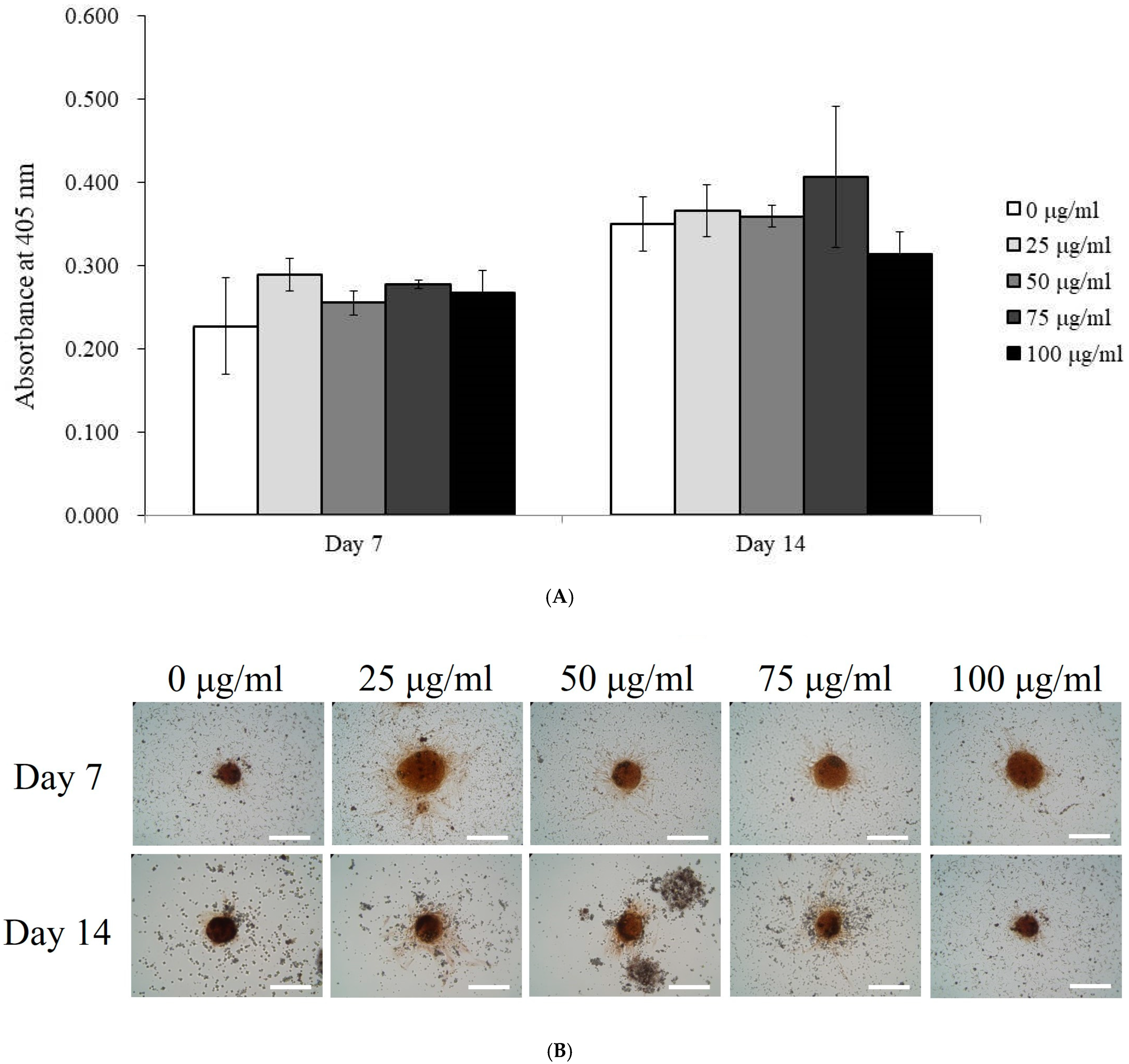 Medicina 60 01610 g003a