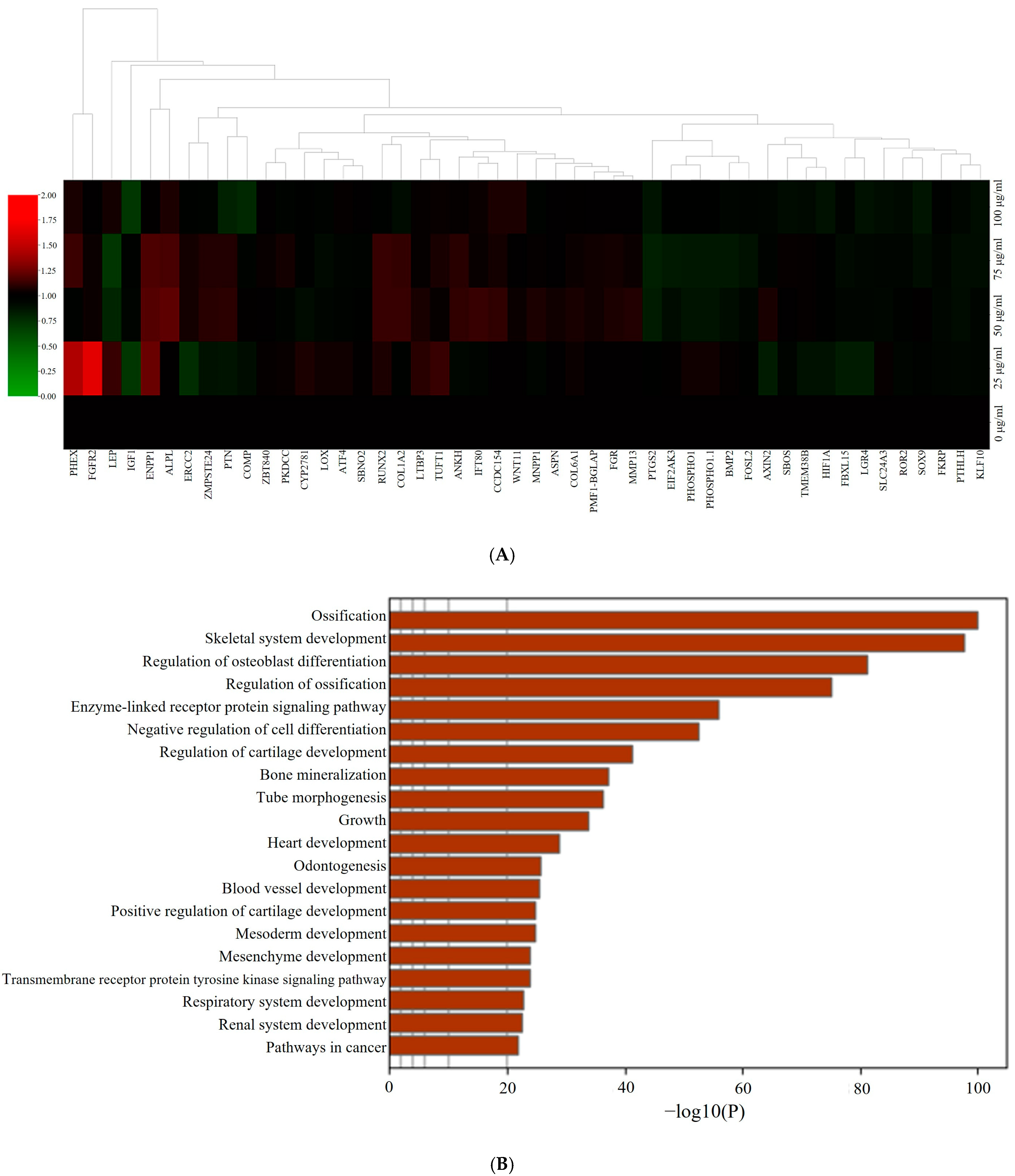 Medicina 60 01610 g005a