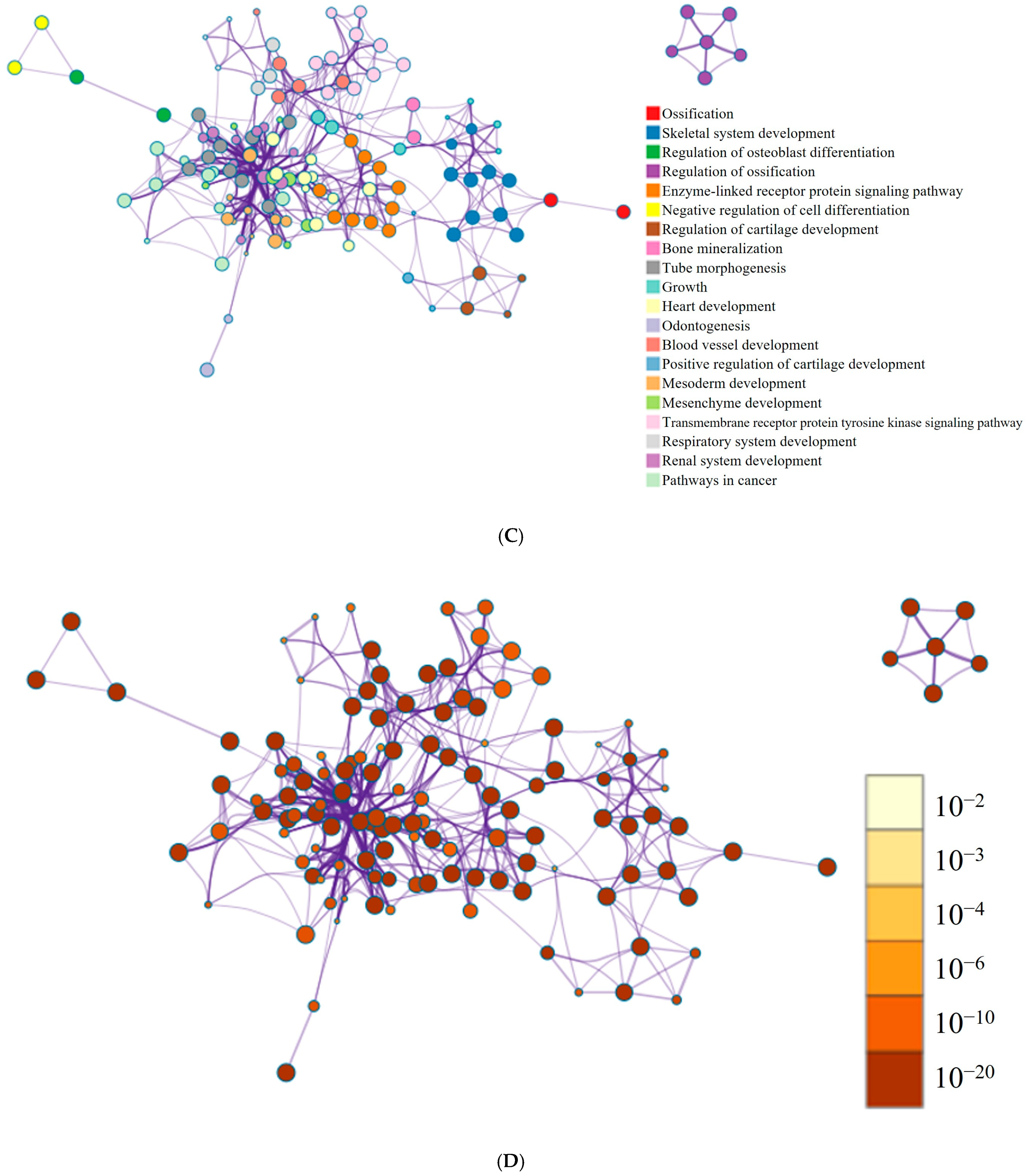 Medicina 60 01610 g005b