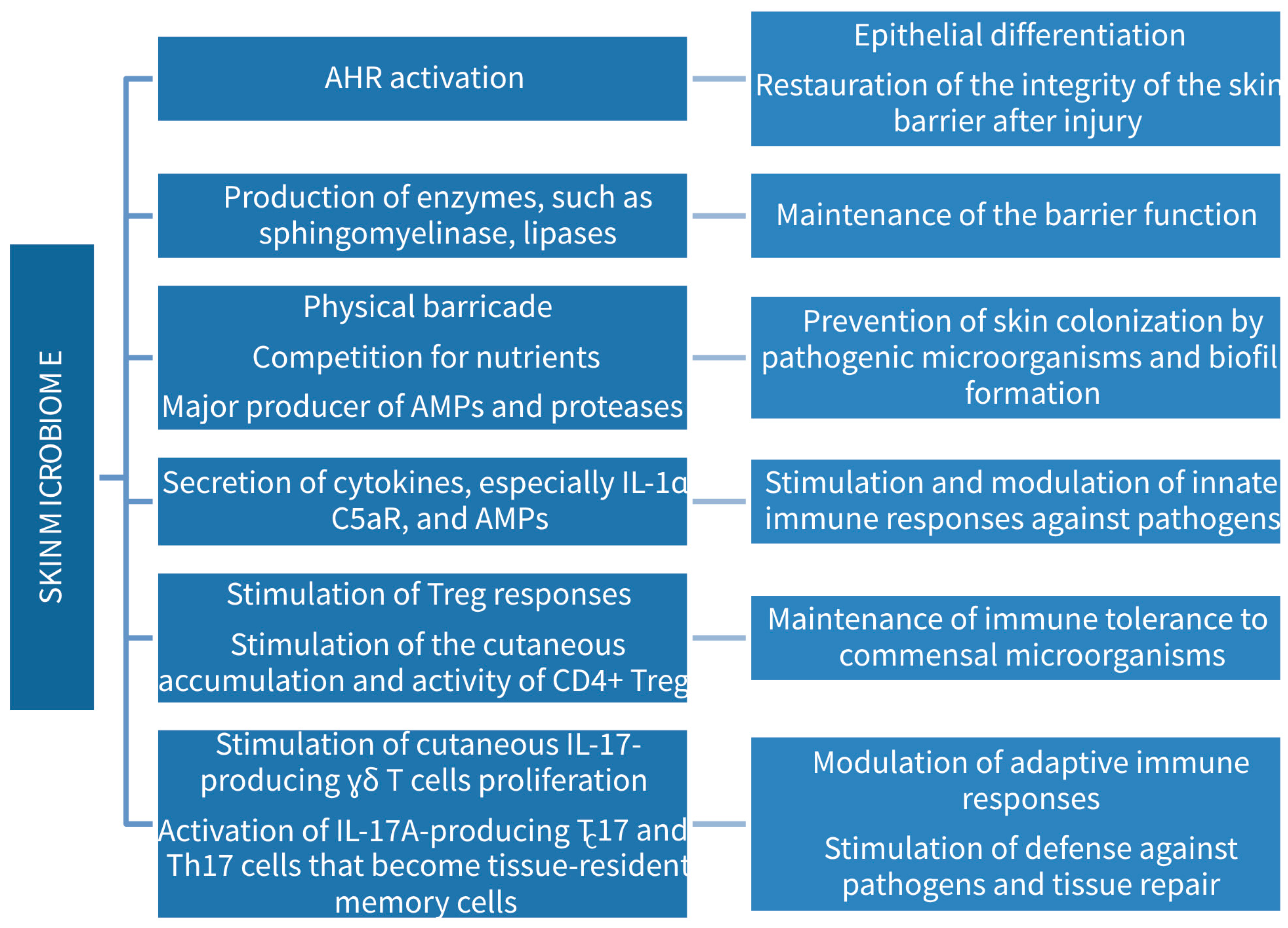 Medicina 60 01619 g002
