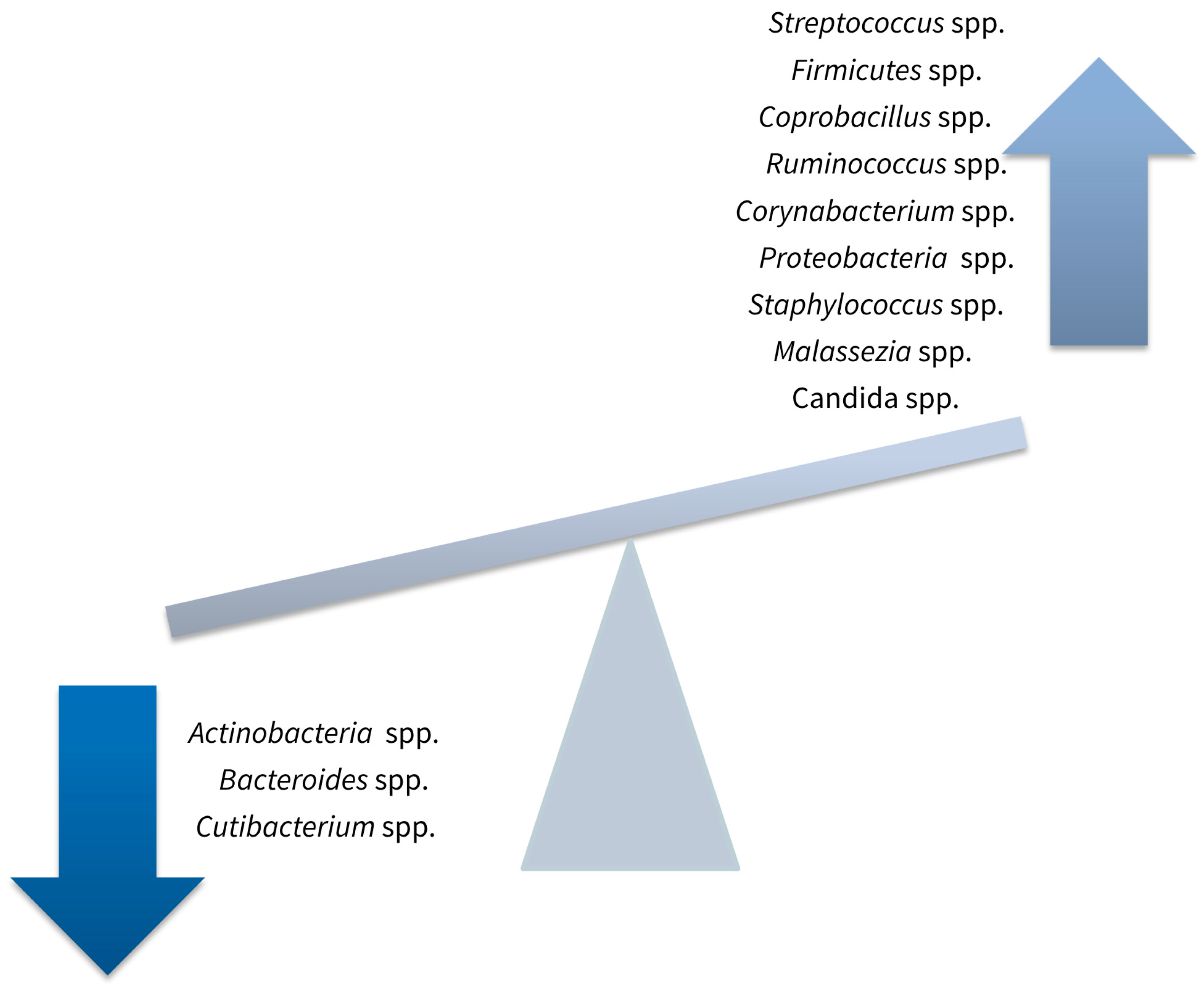 Medicina 60 01619 g003