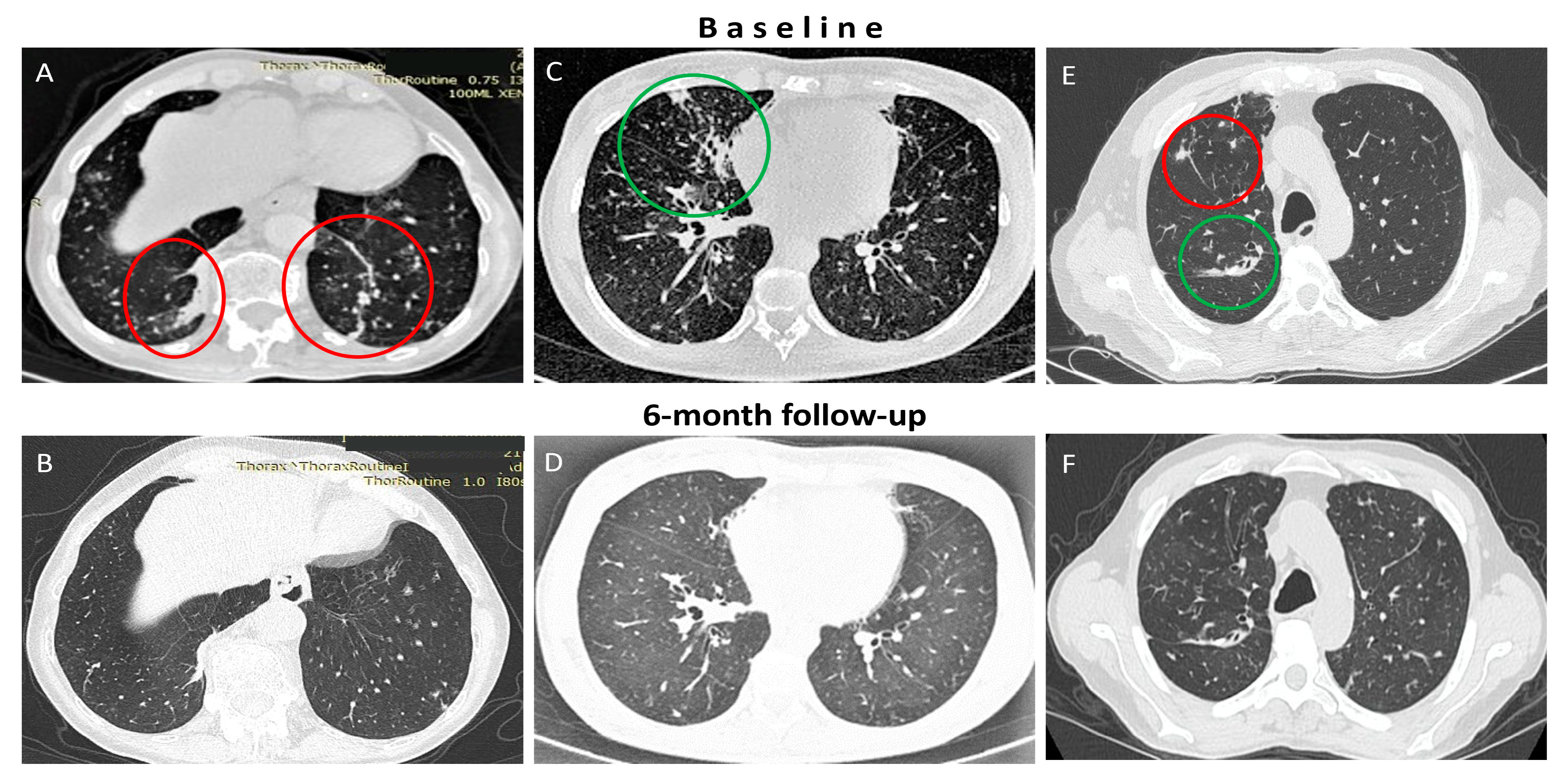 Medicina 60 01620 g001