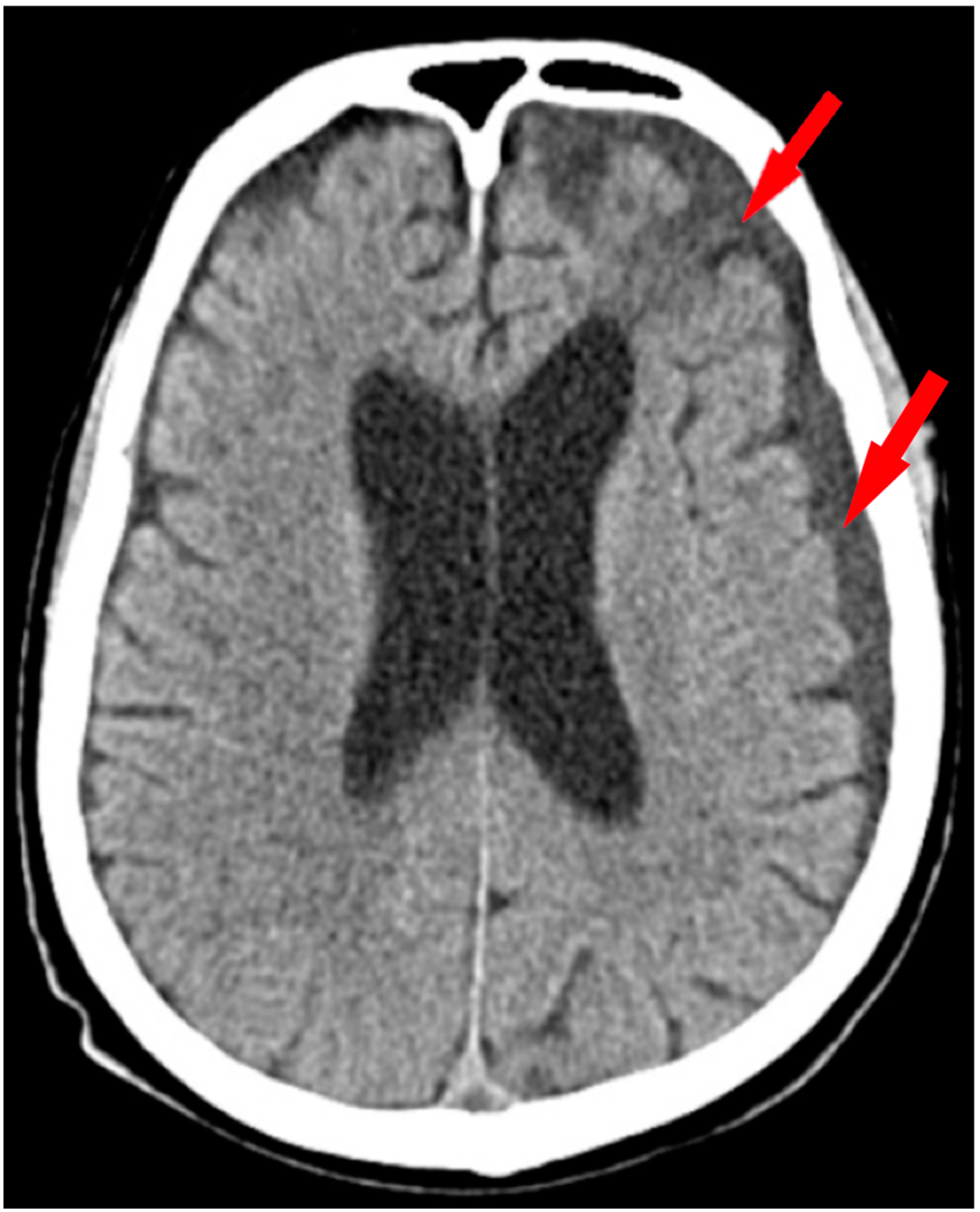 Medicina 60 01640 g001 Medicina 60 01640 g001