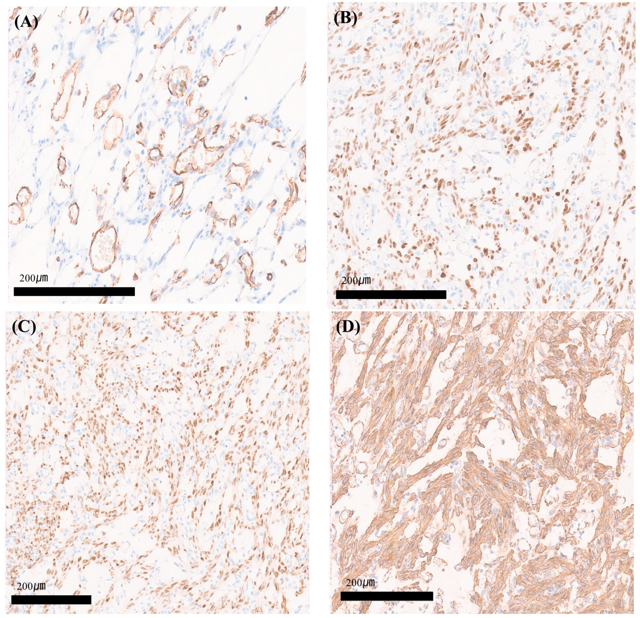 Medicina 60 01645 g004 Medicina 60 01645 g004