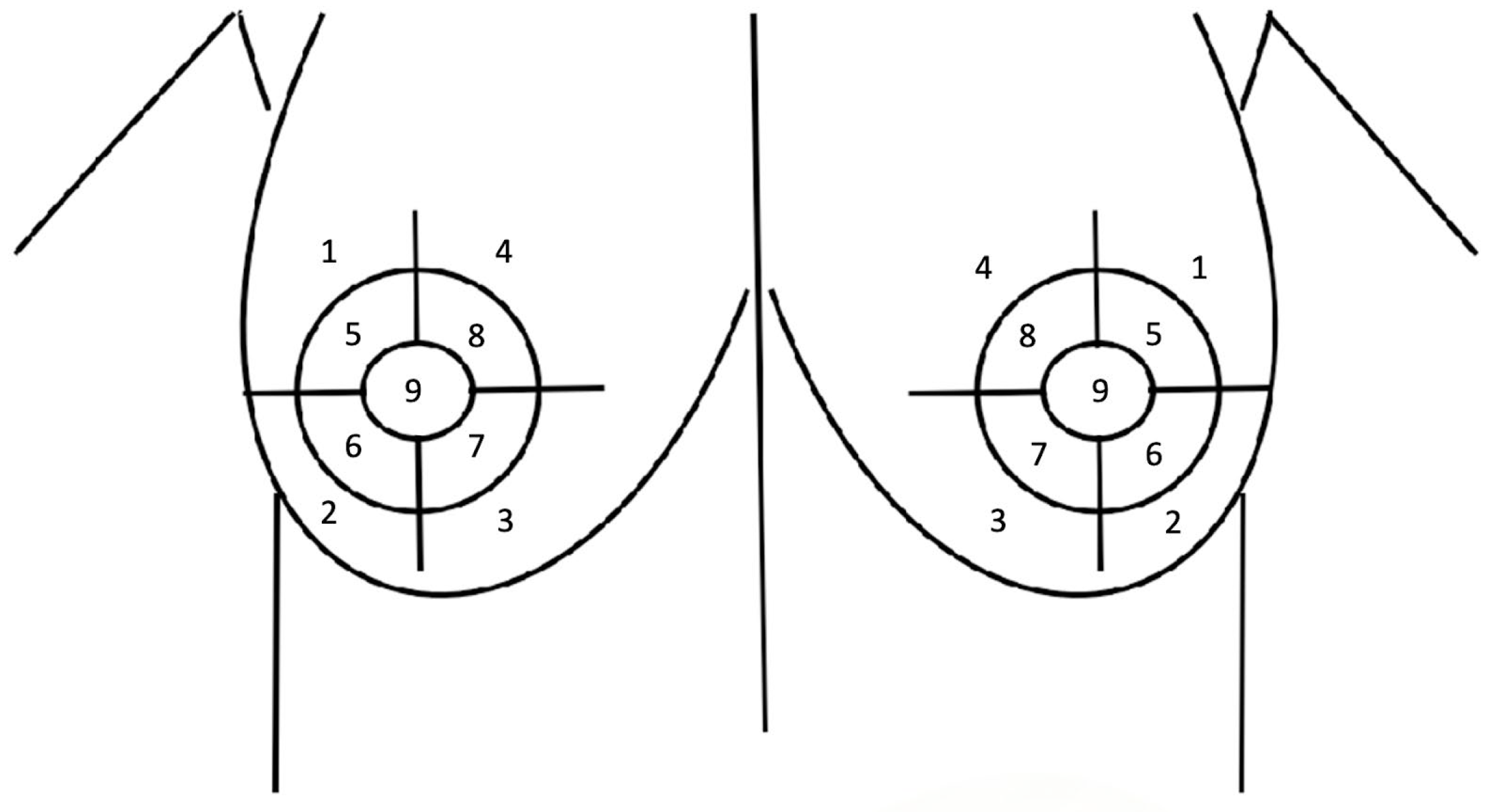Medicina 60 01655 g001