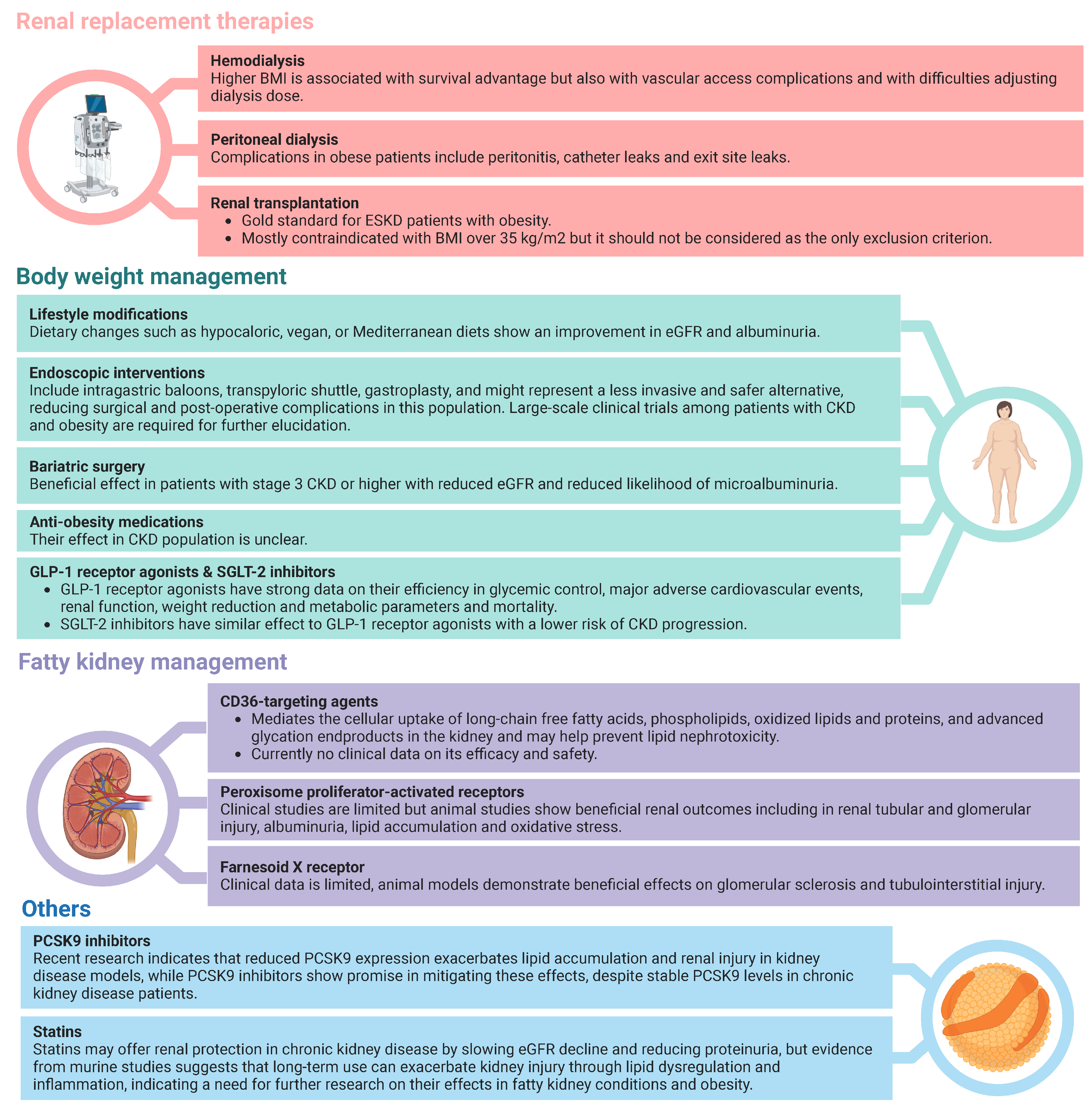 Medicina 60 01668 g003 Medicina 60 01668 g003
