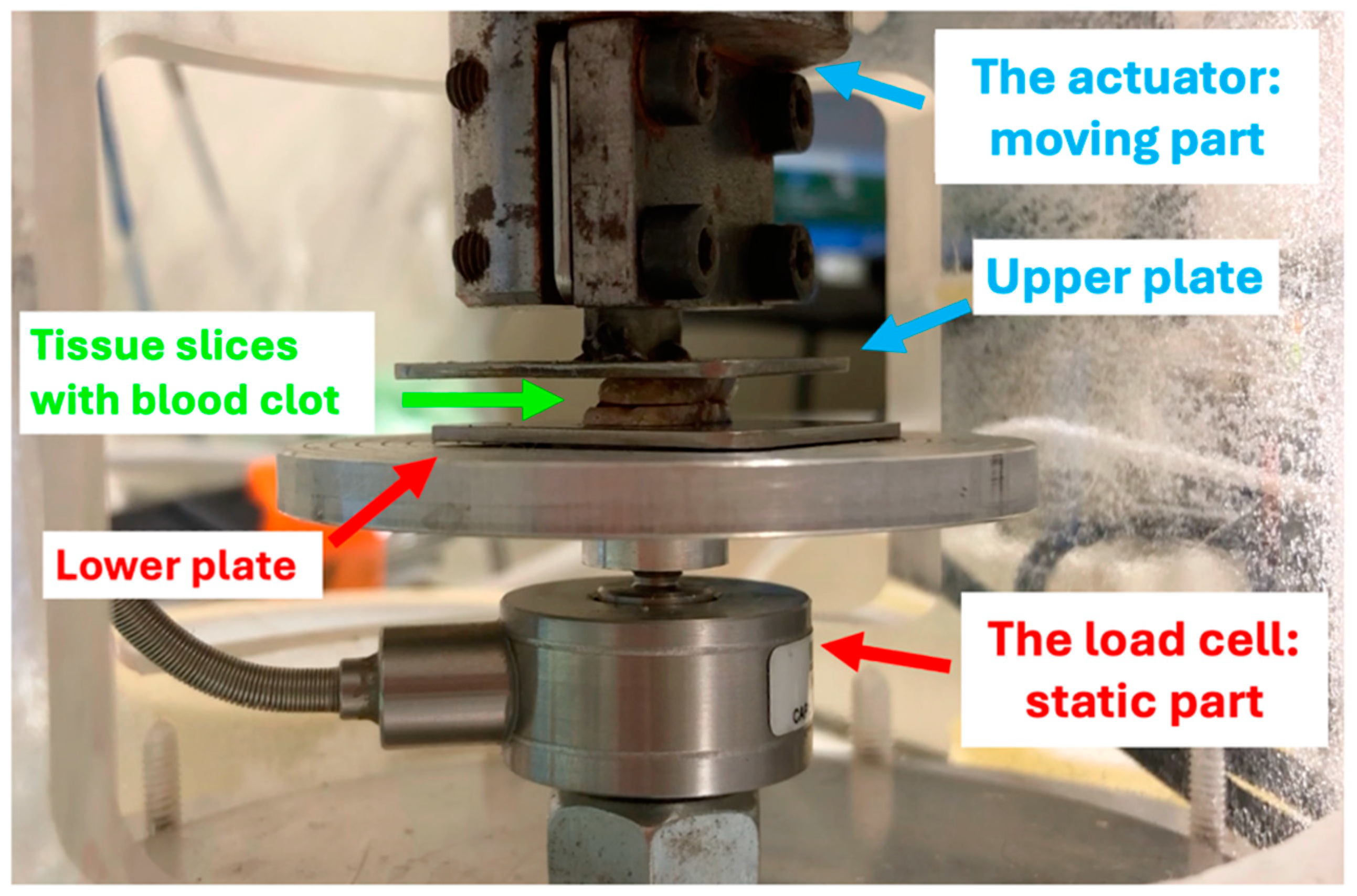 Medicina 60 01673 g001