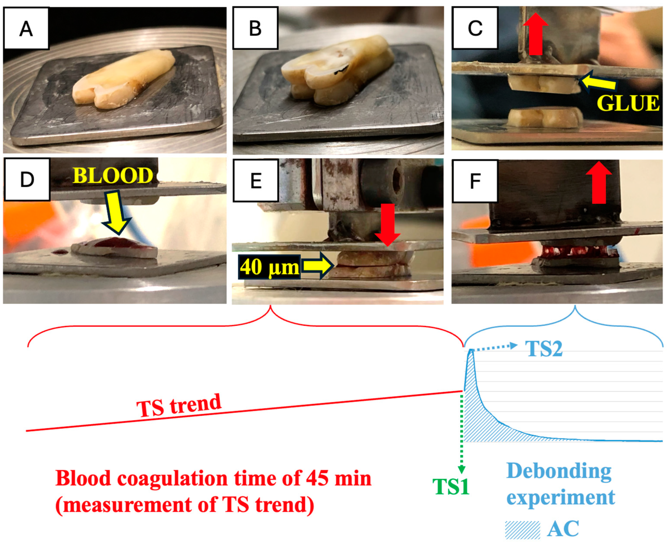 Medicina 60 01673 g002