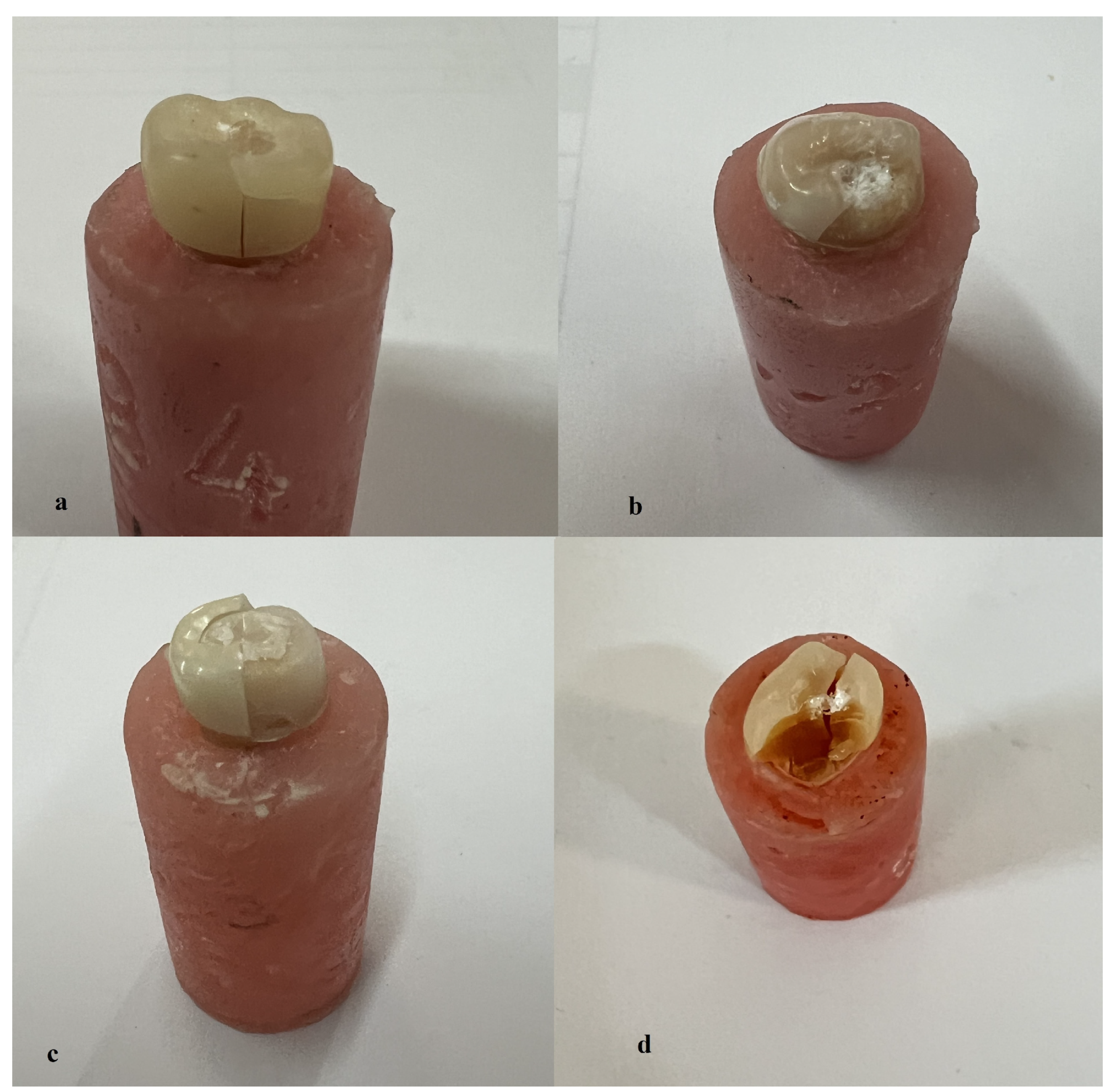 Medicina 60 01678 g003