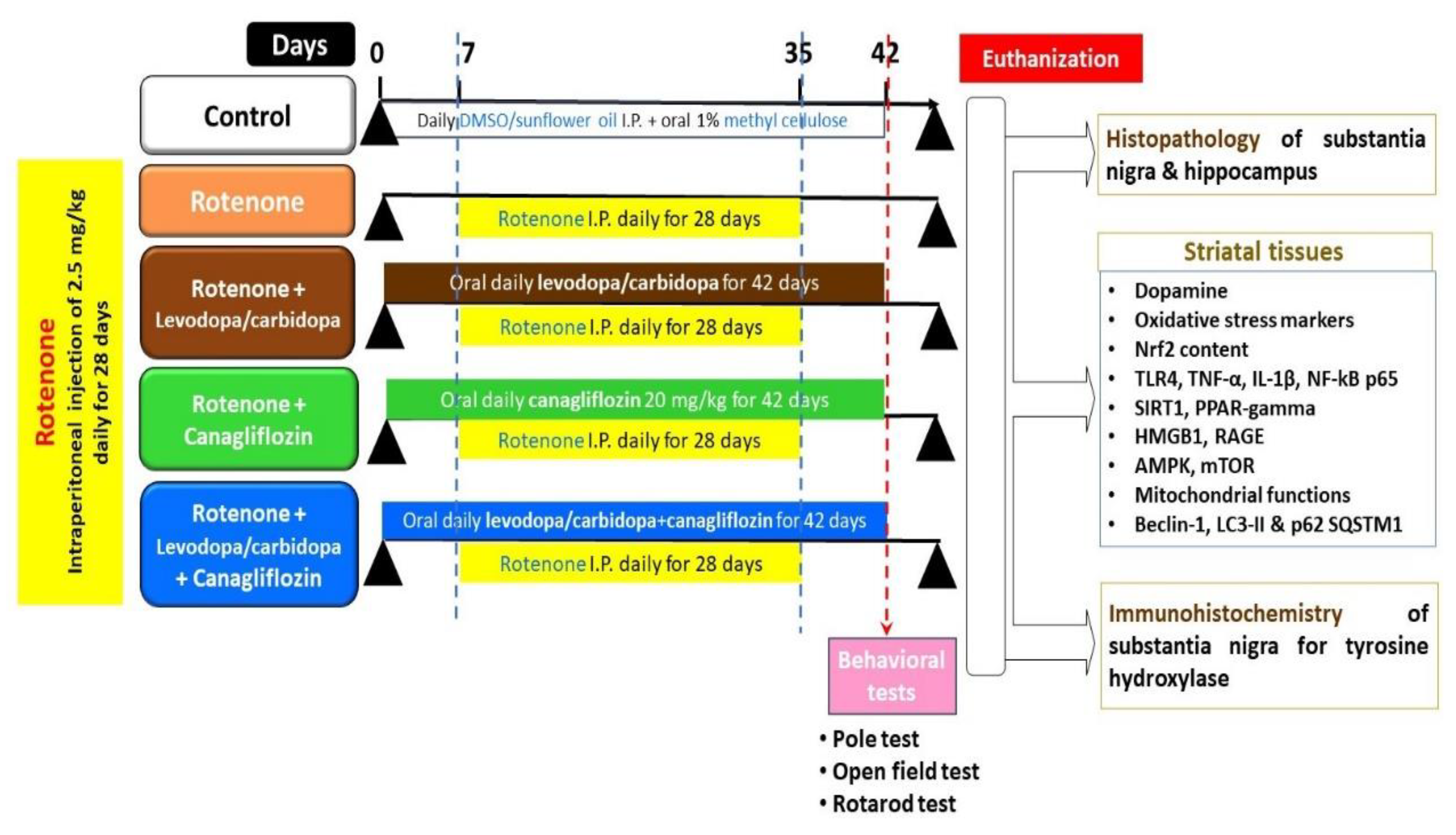 Medicina 60 01682 g001