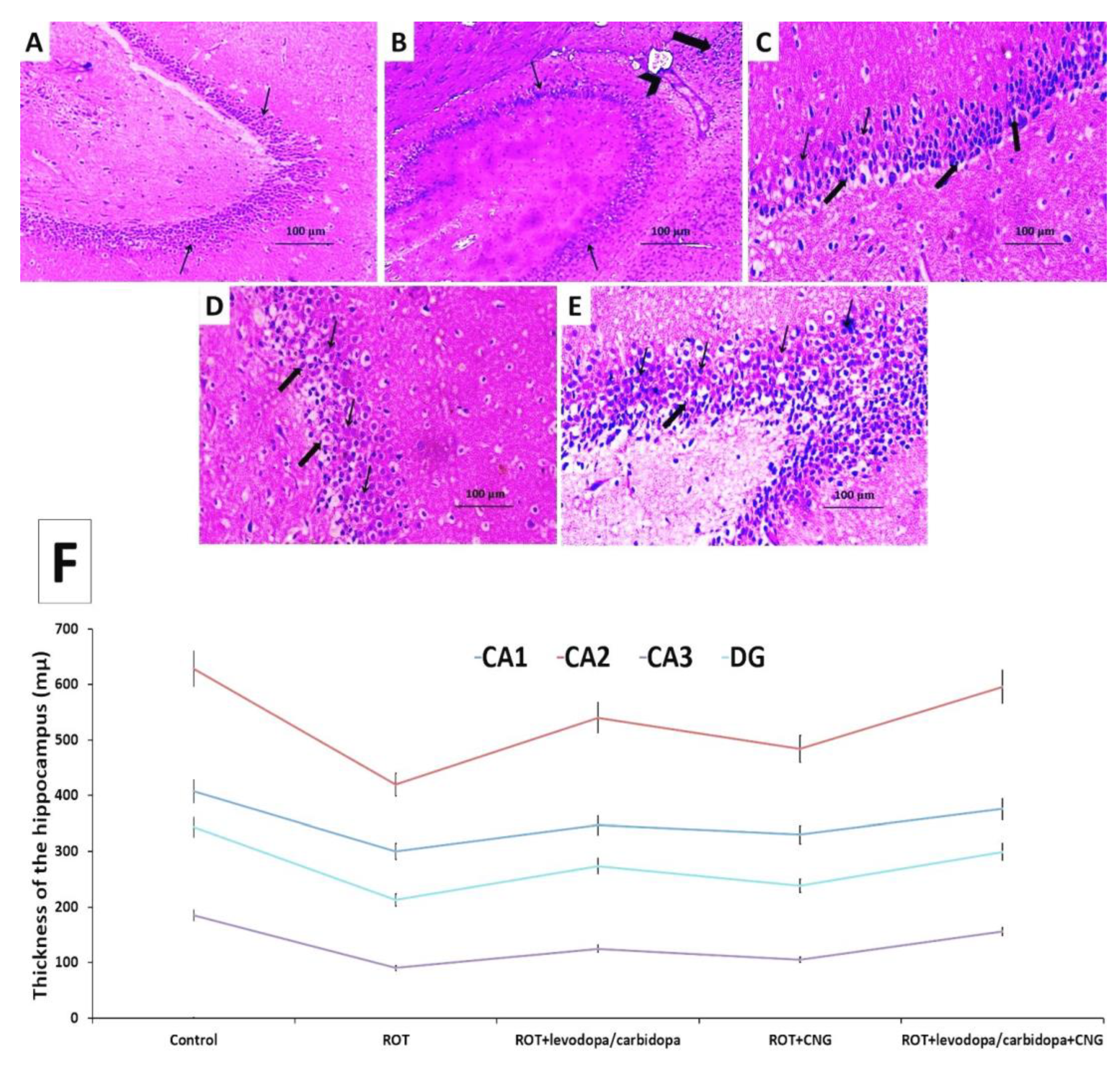 Medicina 60 01682 g014