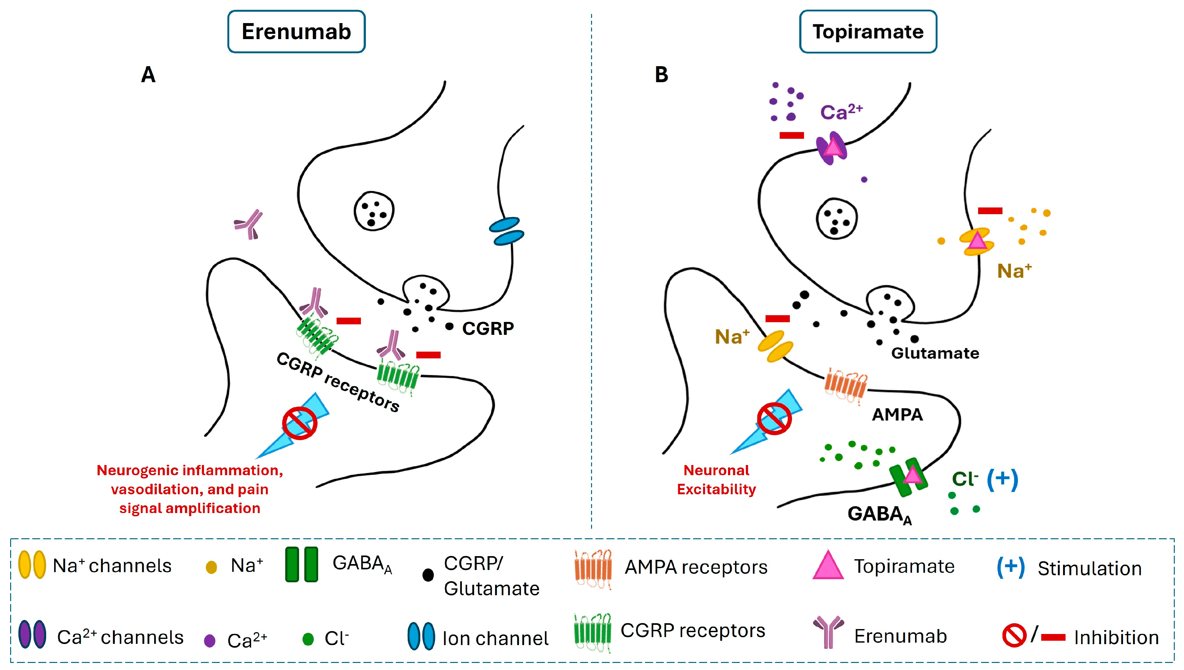 Medicina 60 01684 g001
