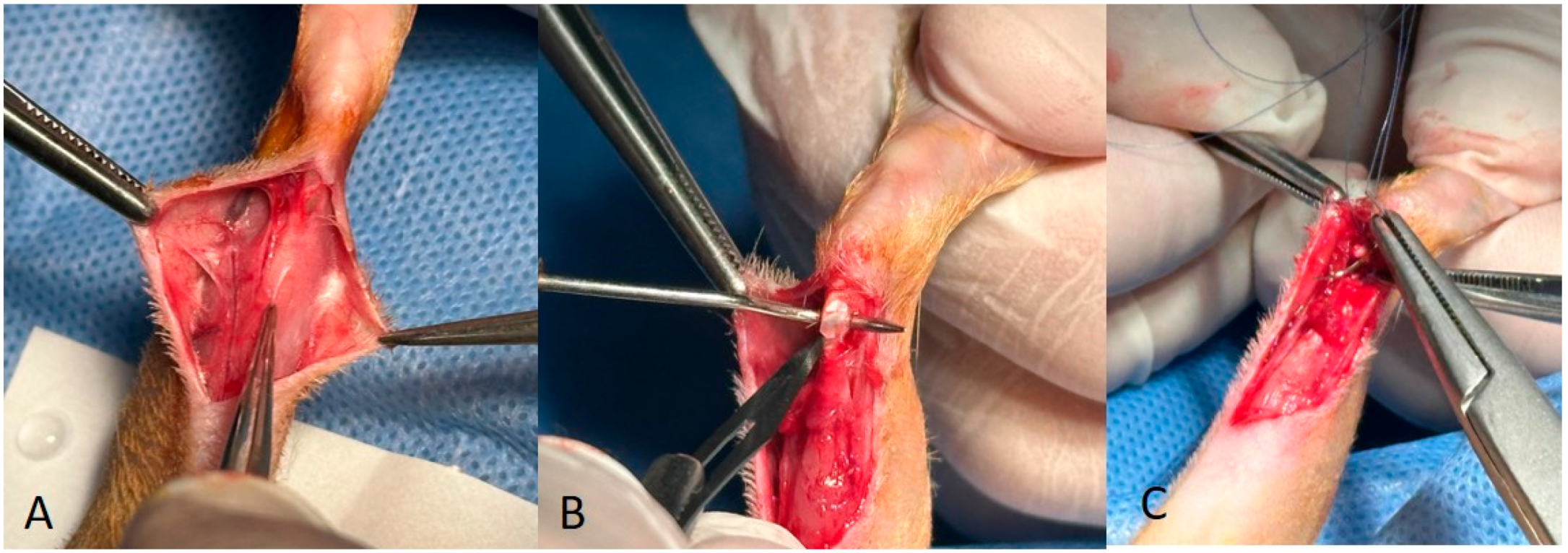 Medicina 60 01689 g002