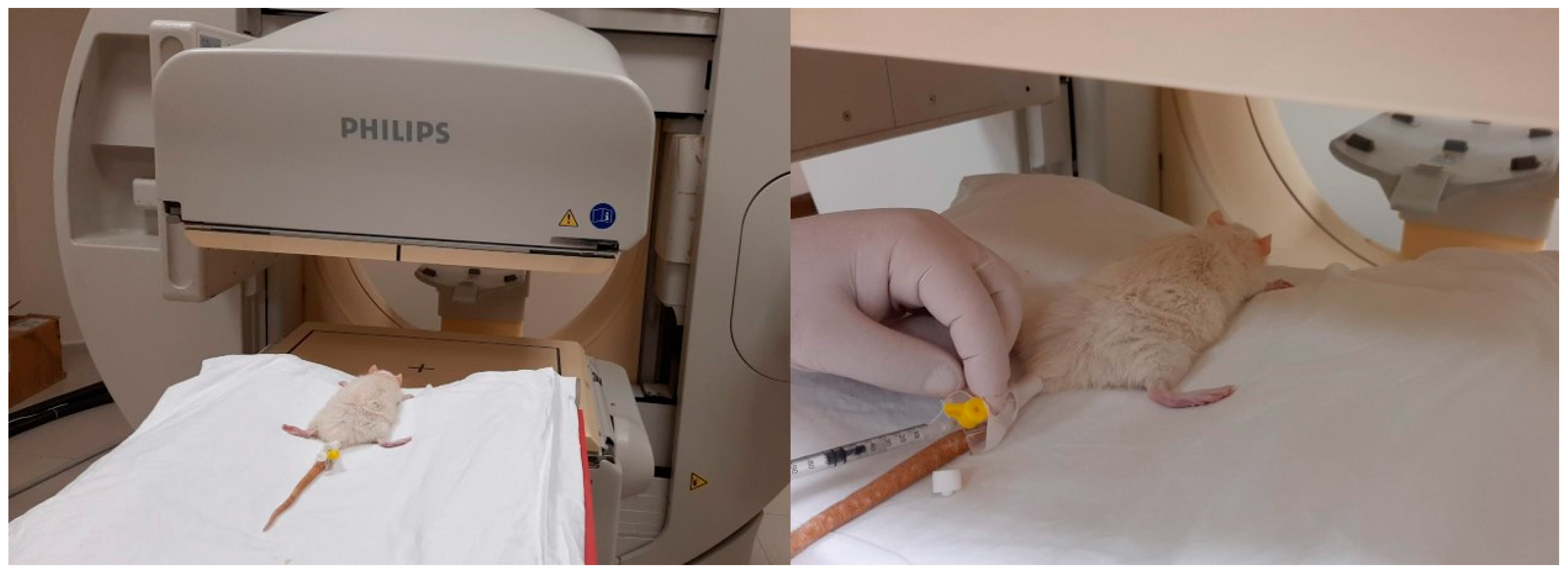 Medicina 60 01689 g004