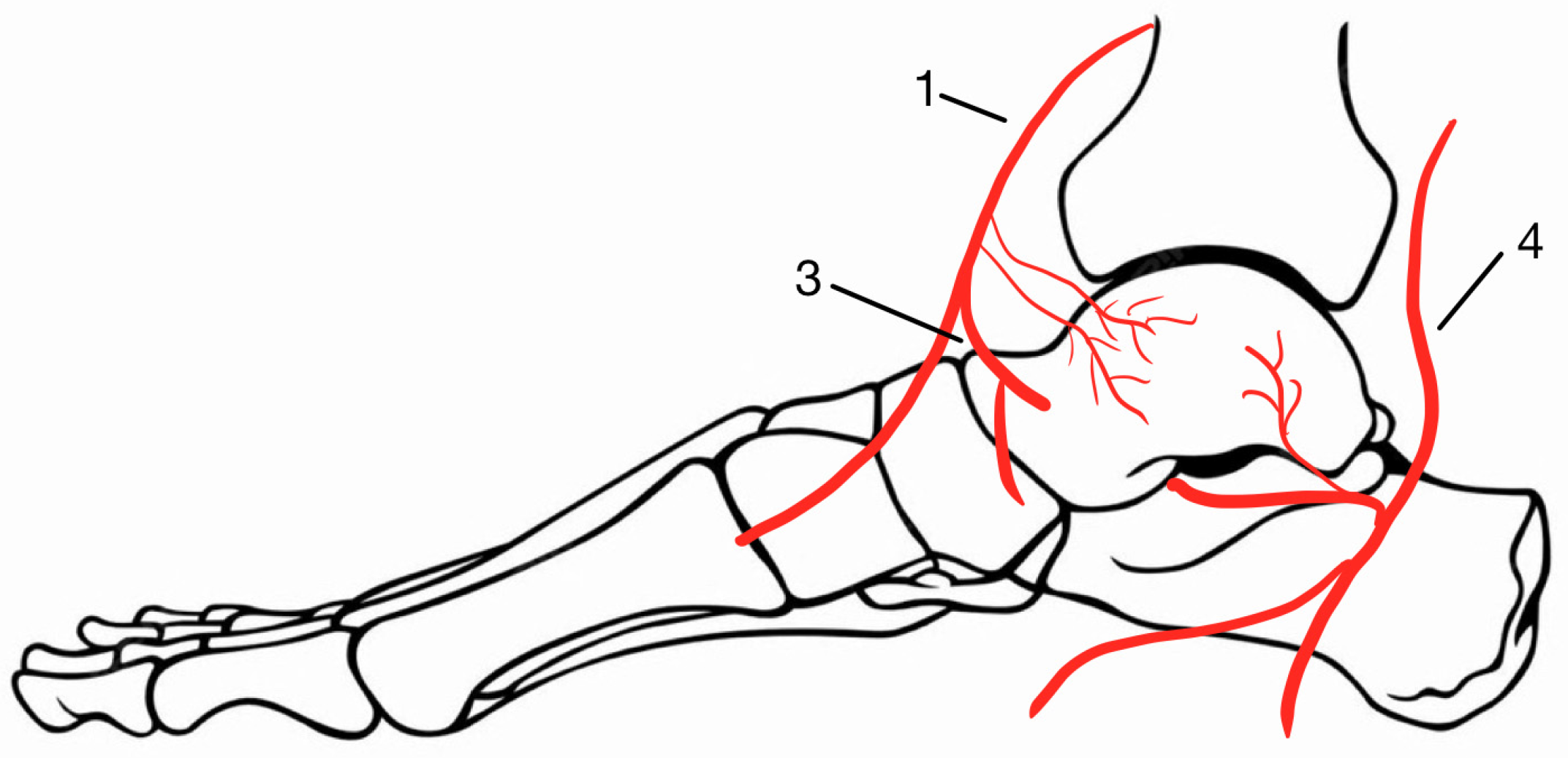 Medicina 60 01692 g001