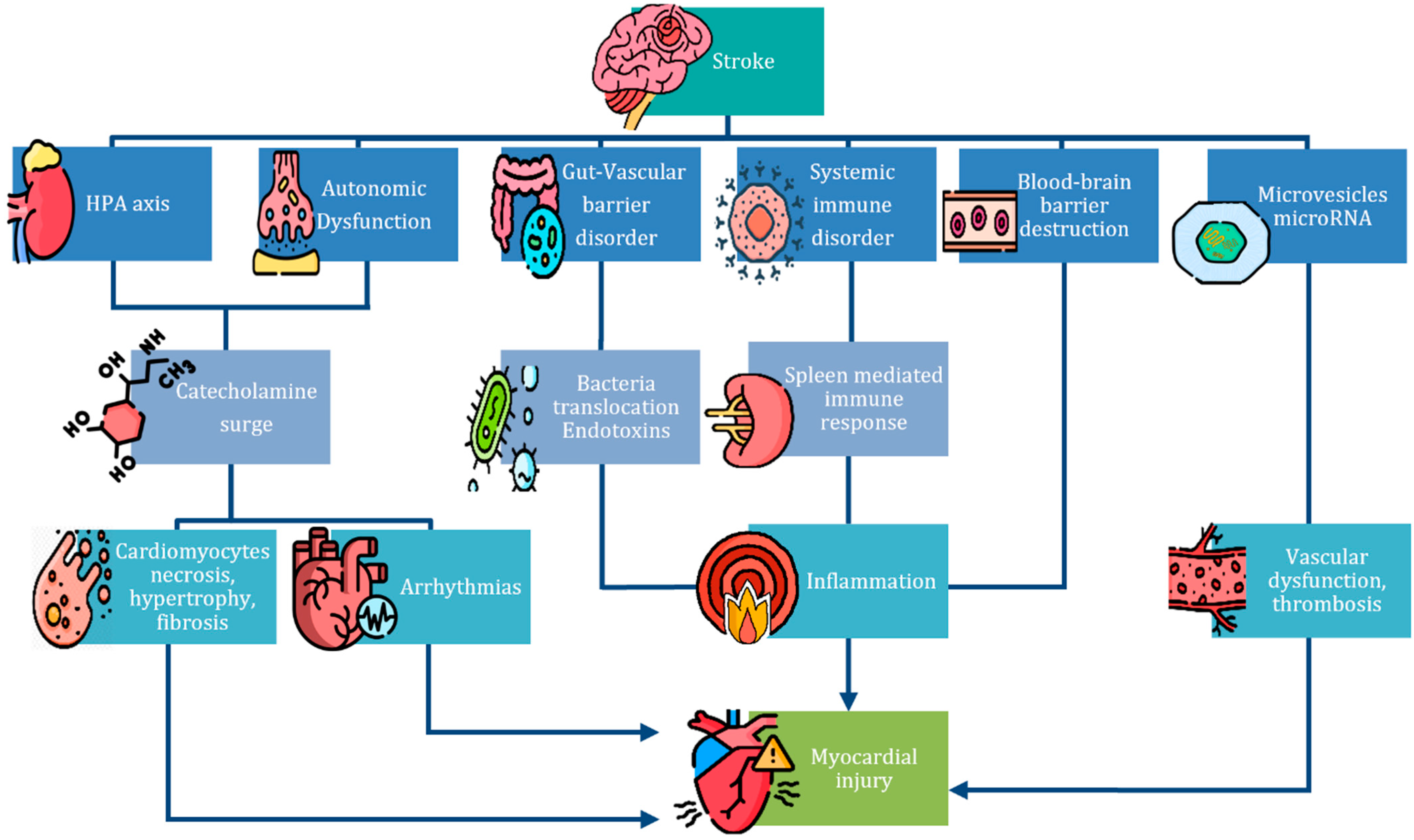 Medicina 60 01699 g001
