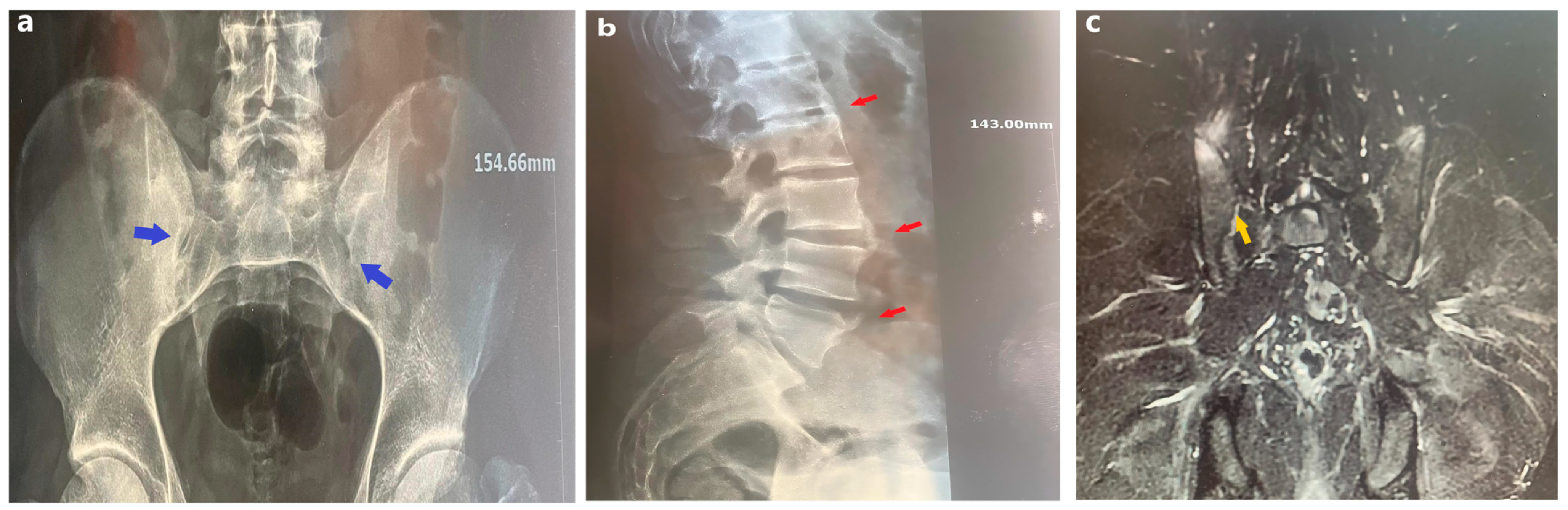 Medicina 60 01703 g001