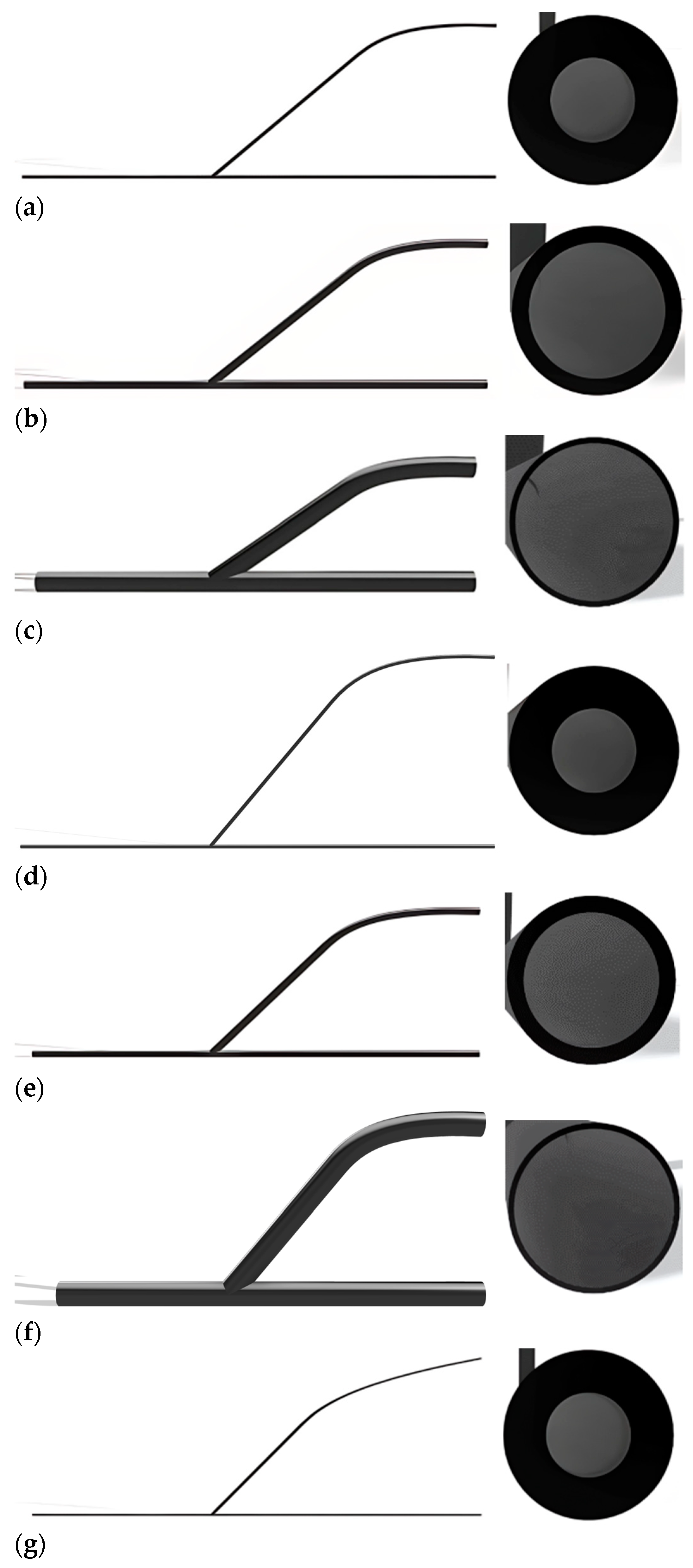Medicina 60 01704 g002a