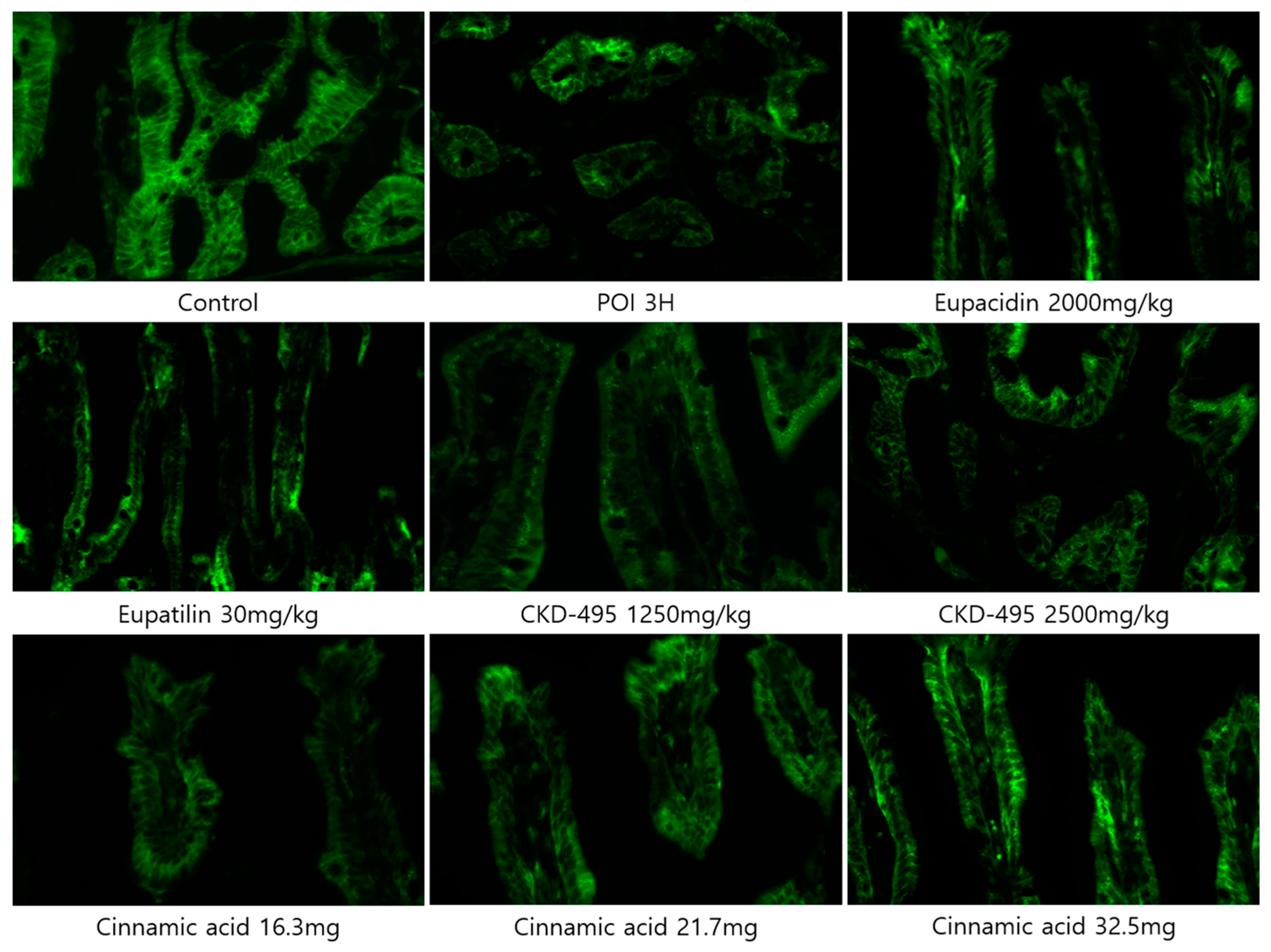 Medicina 60 01707 g003