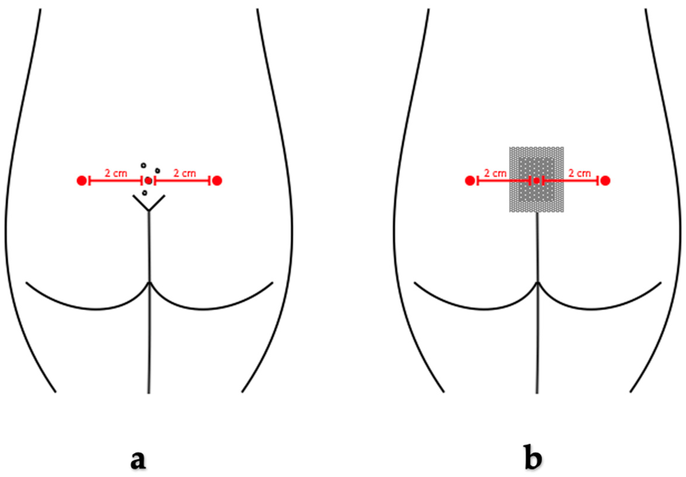 Medicina 60 01710 g001 Medicina 60 01710 g001