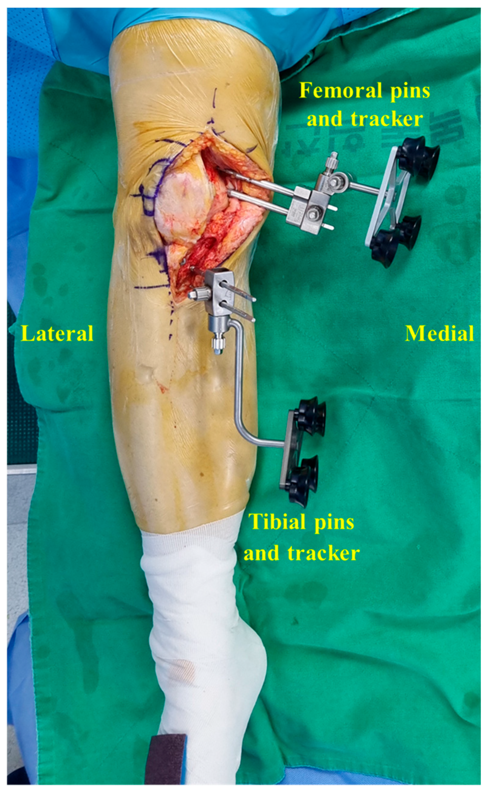 Medicina 60 01720 g001