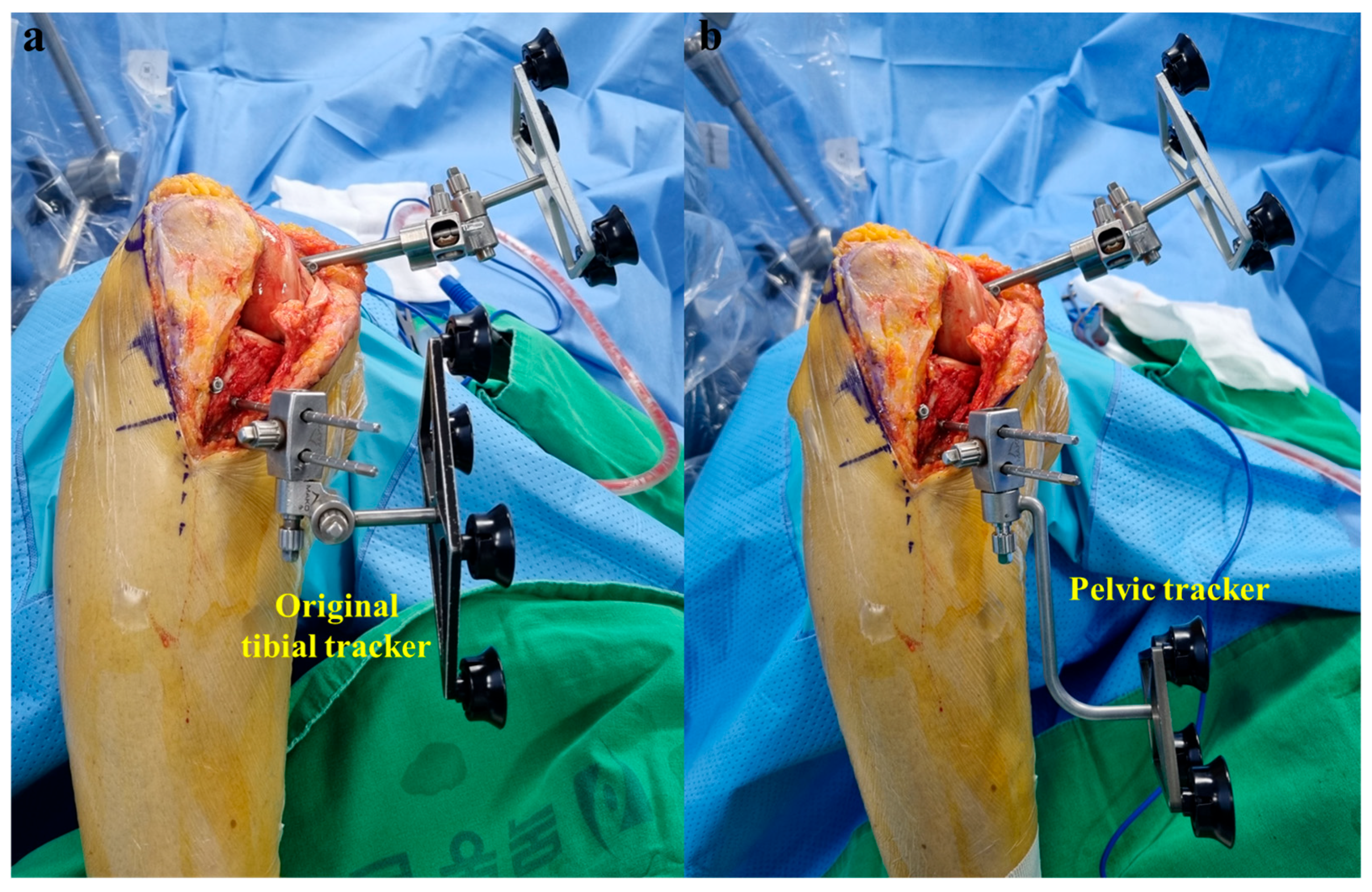 Medicina 60 01720 g006