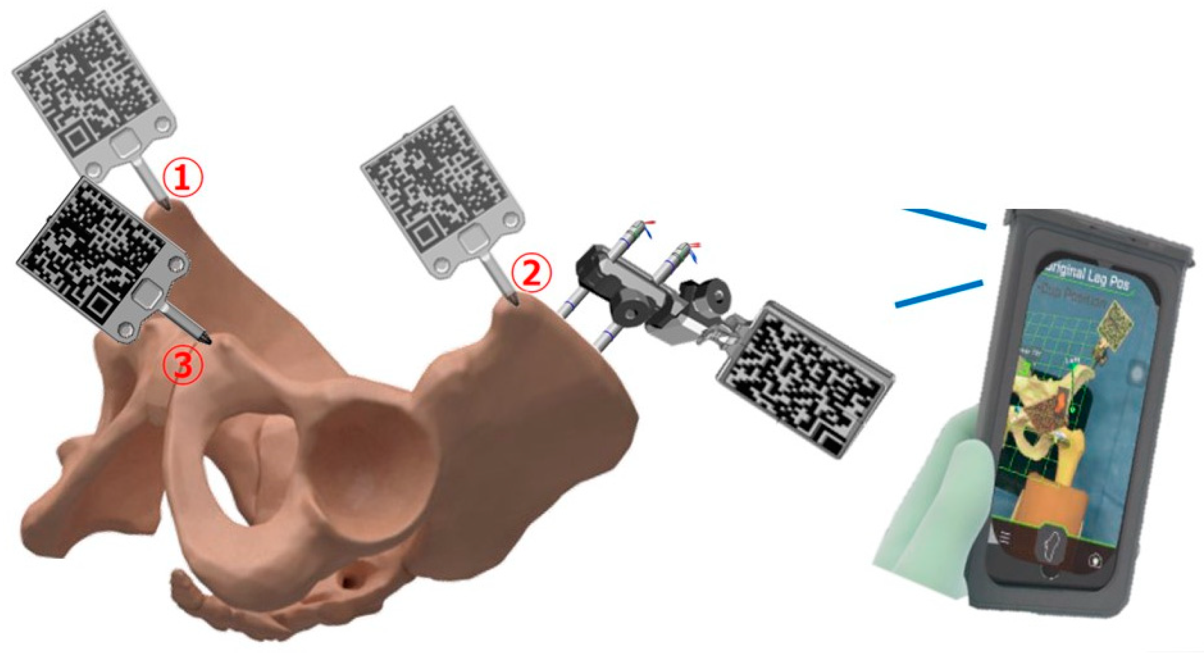 Medicina 60 01721 g002