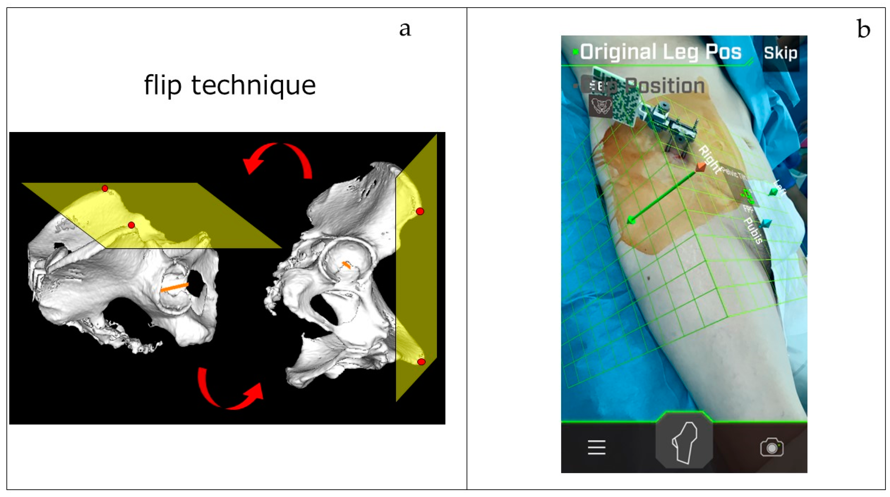 Medicina 60 01721 g003