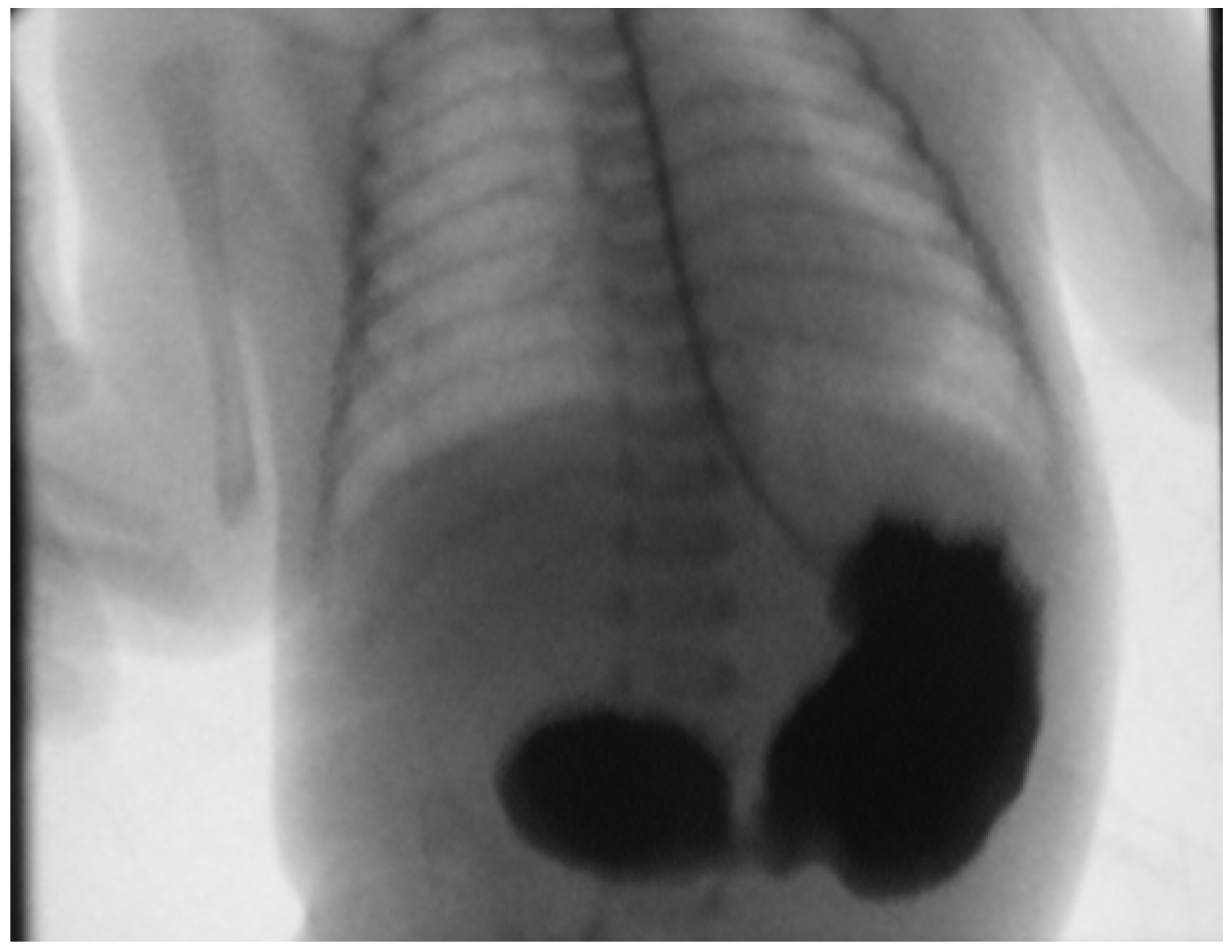 Medicina 60 01722 g001