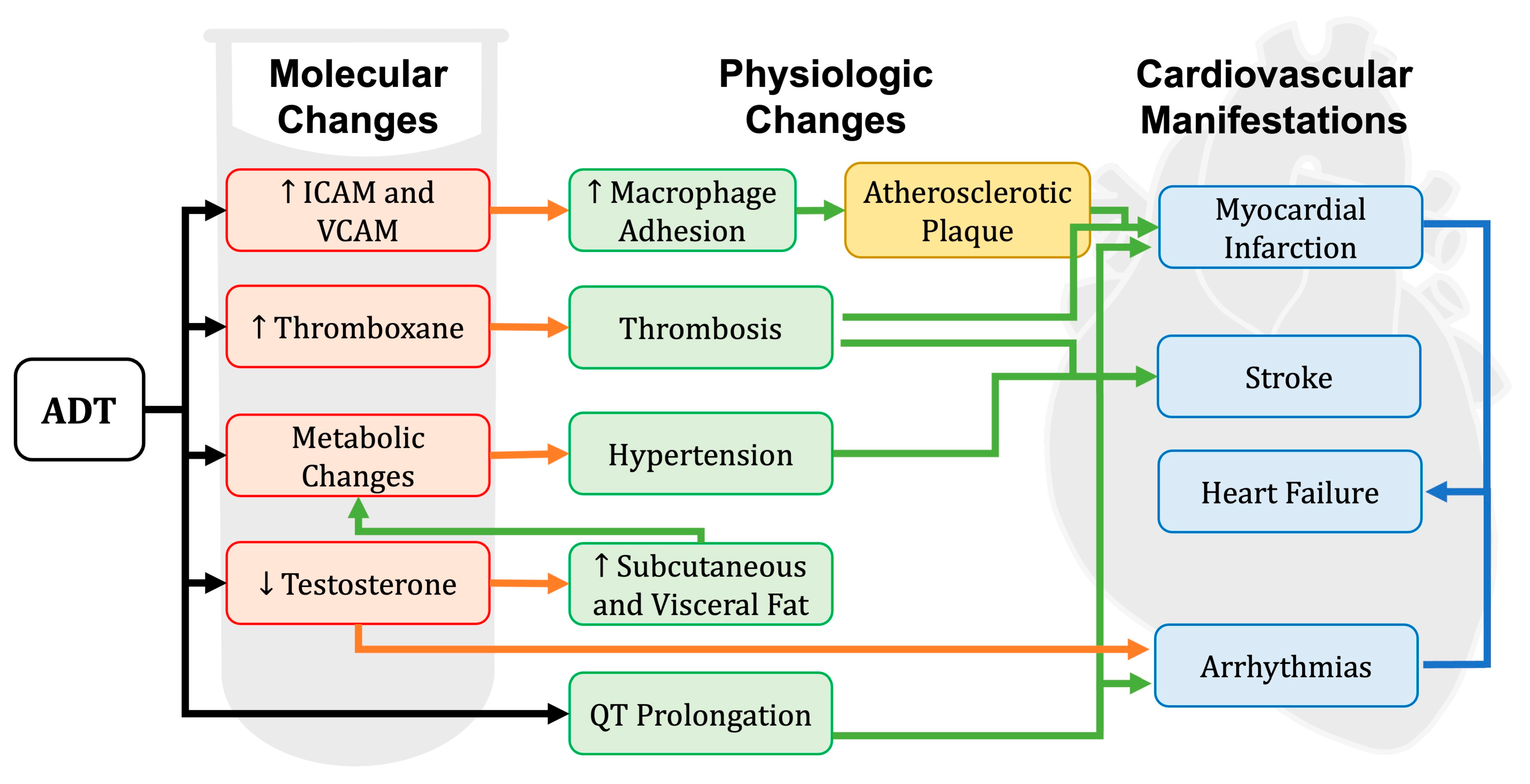 Medicina 60 01727 g001