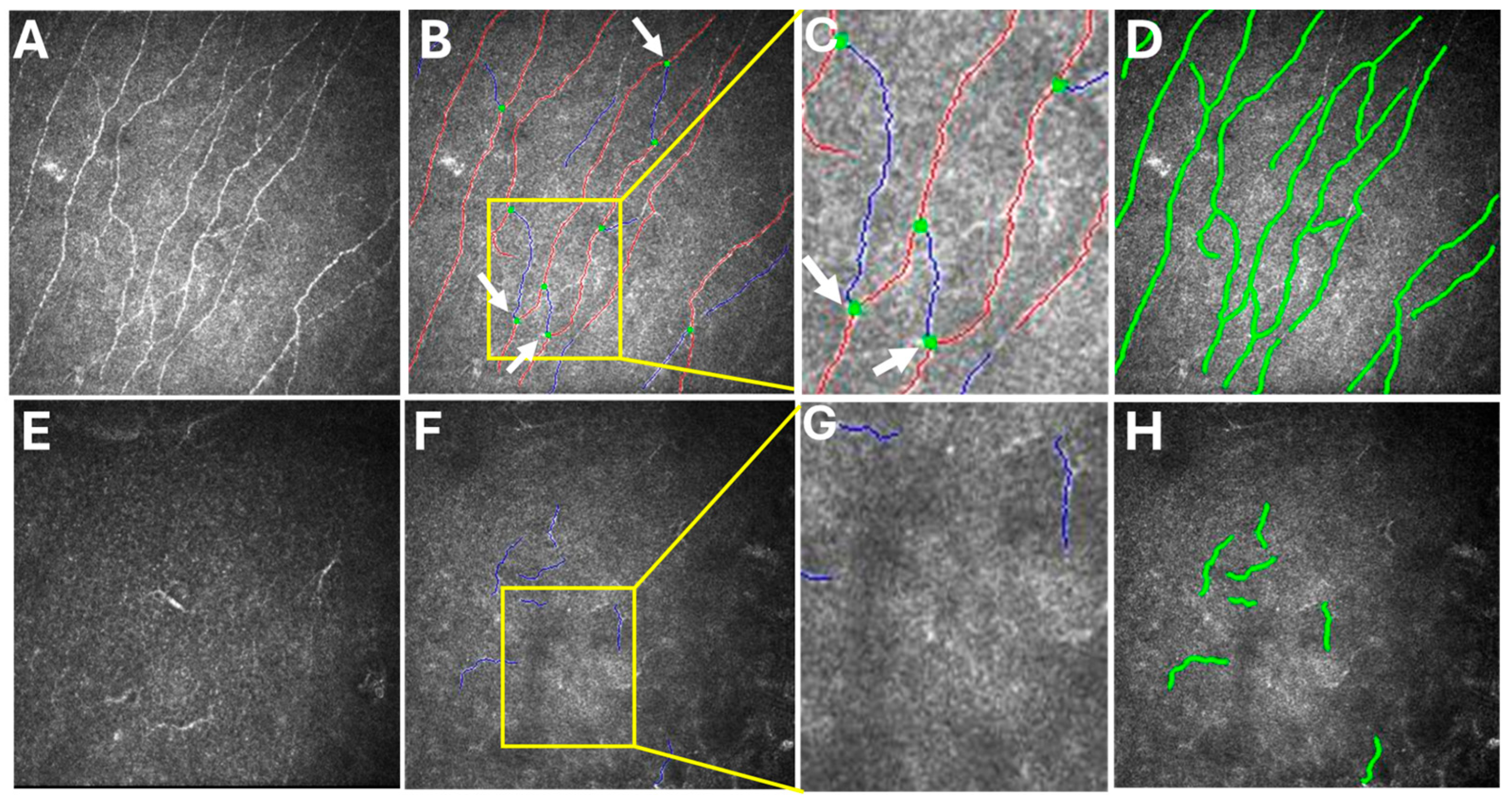 Medicina 60 01730 g003