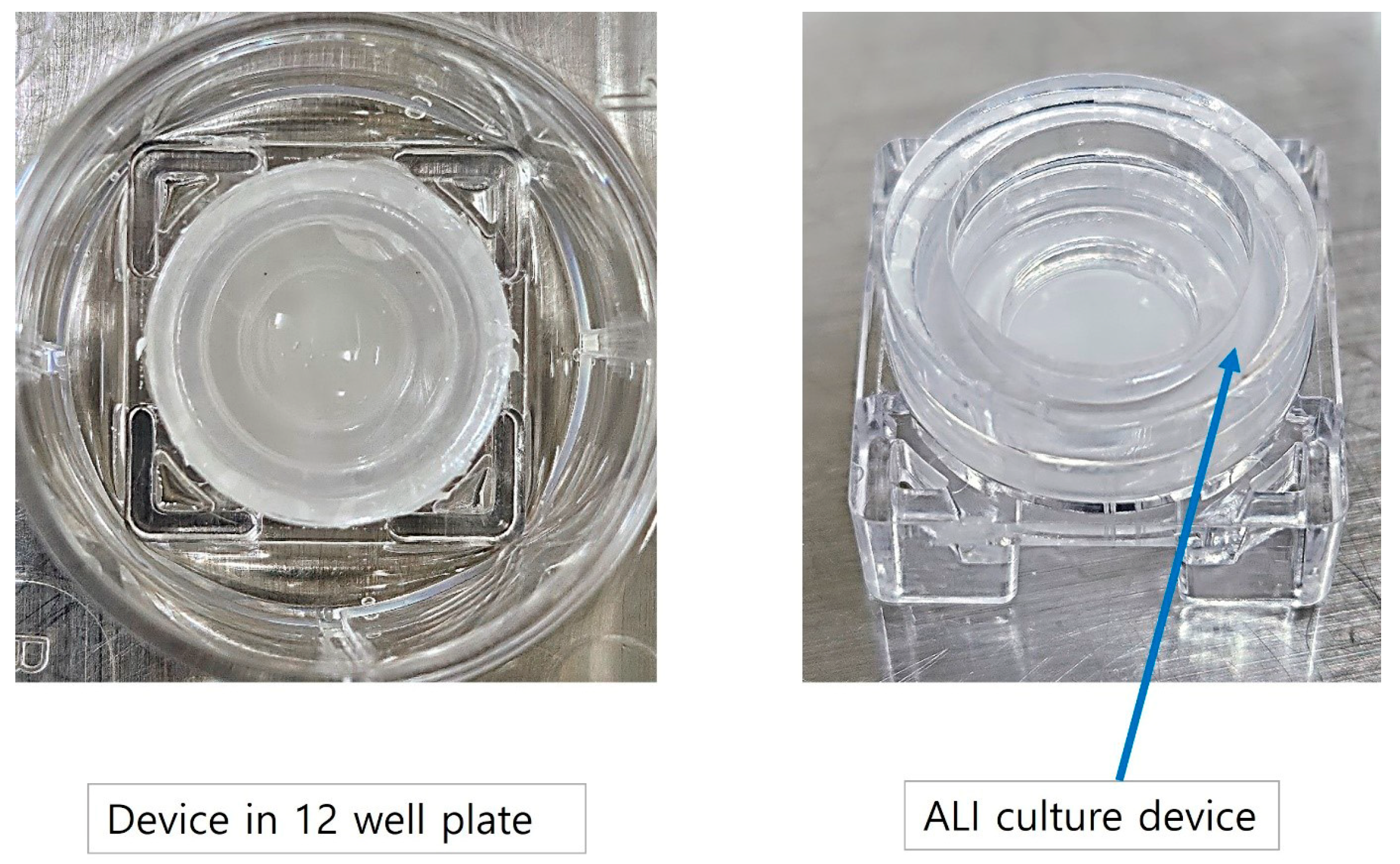 Medicina 60 01741 g005
