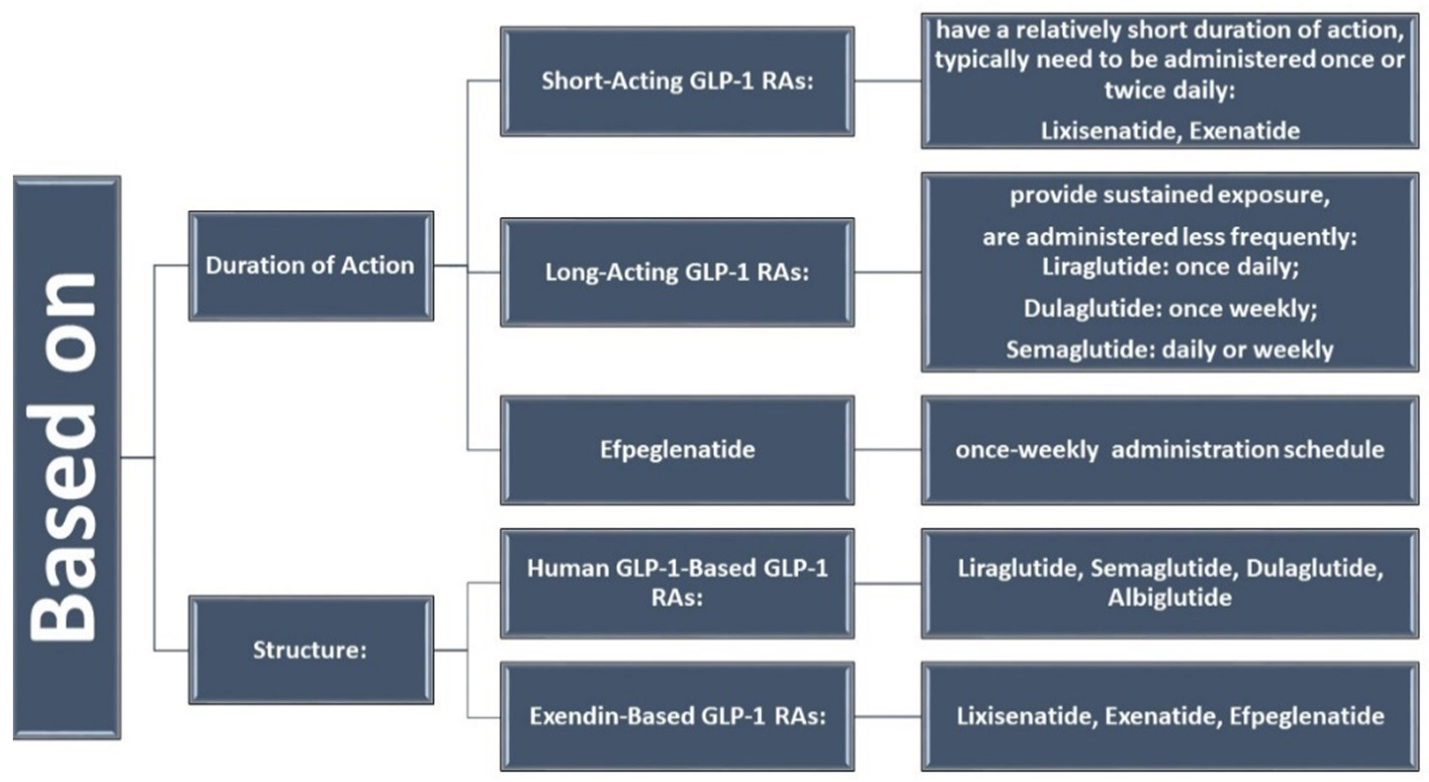 Medicina 60 01761 g001
