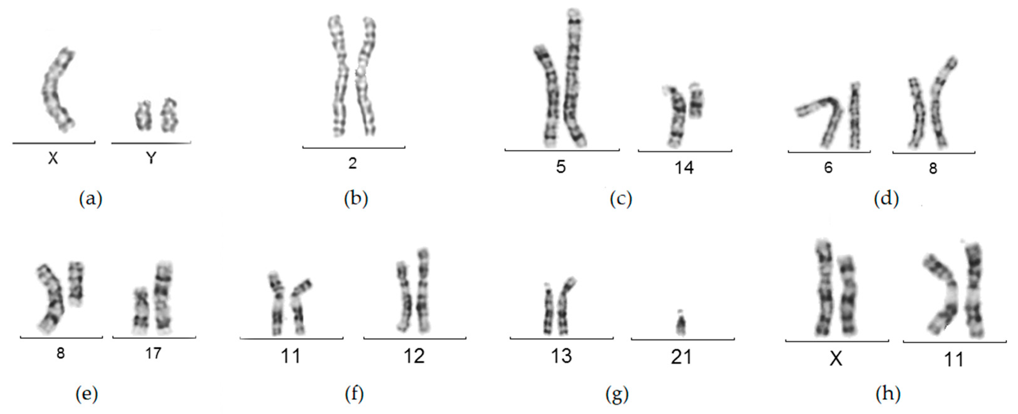 Medicina 60 01778 g001