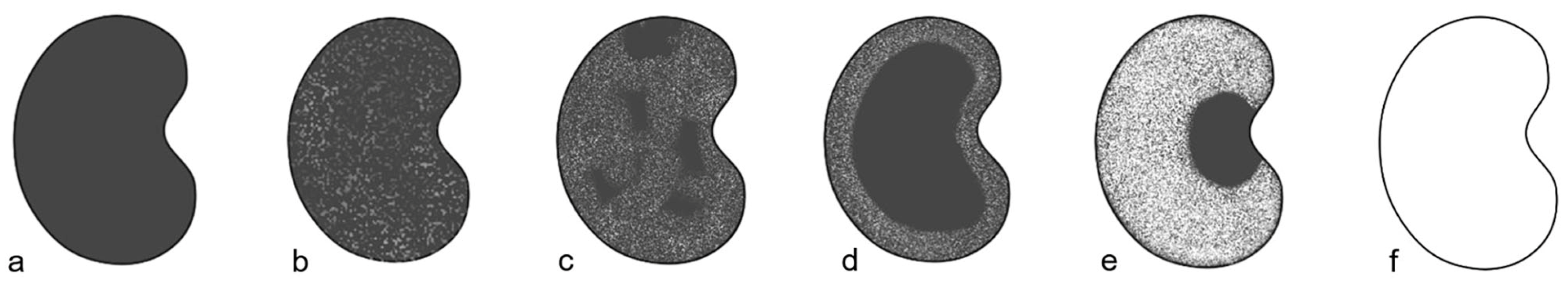 Medicina 60 01780 g001