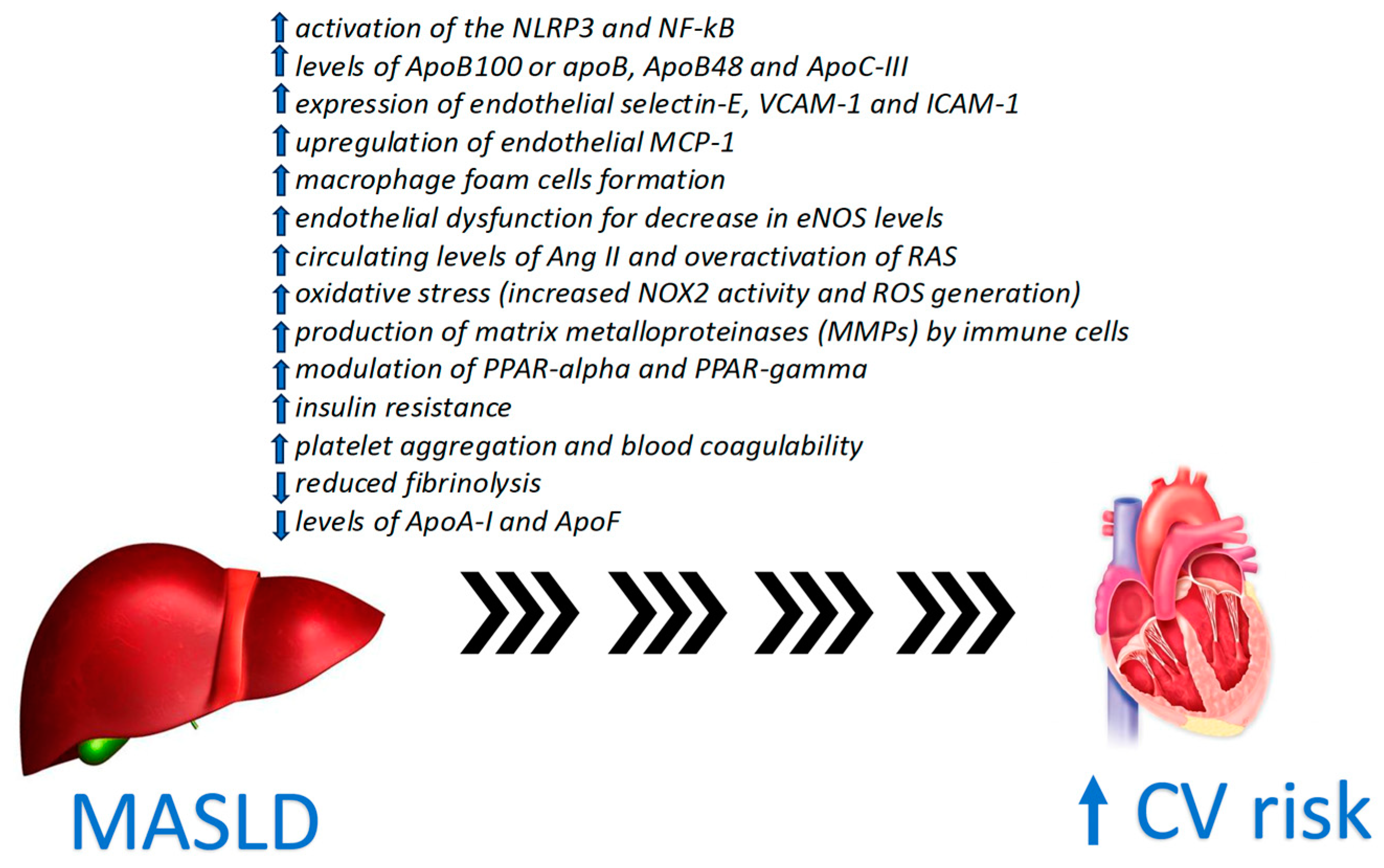 Medicina 60 01781 g001