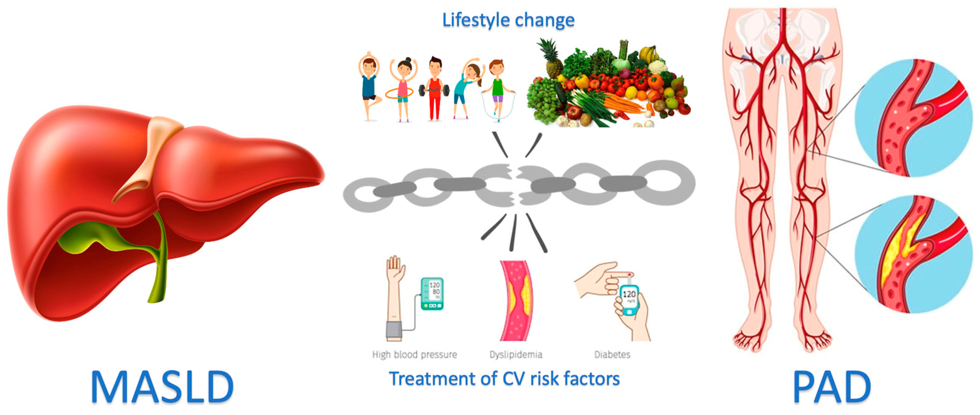Medicina 60 01781 g002