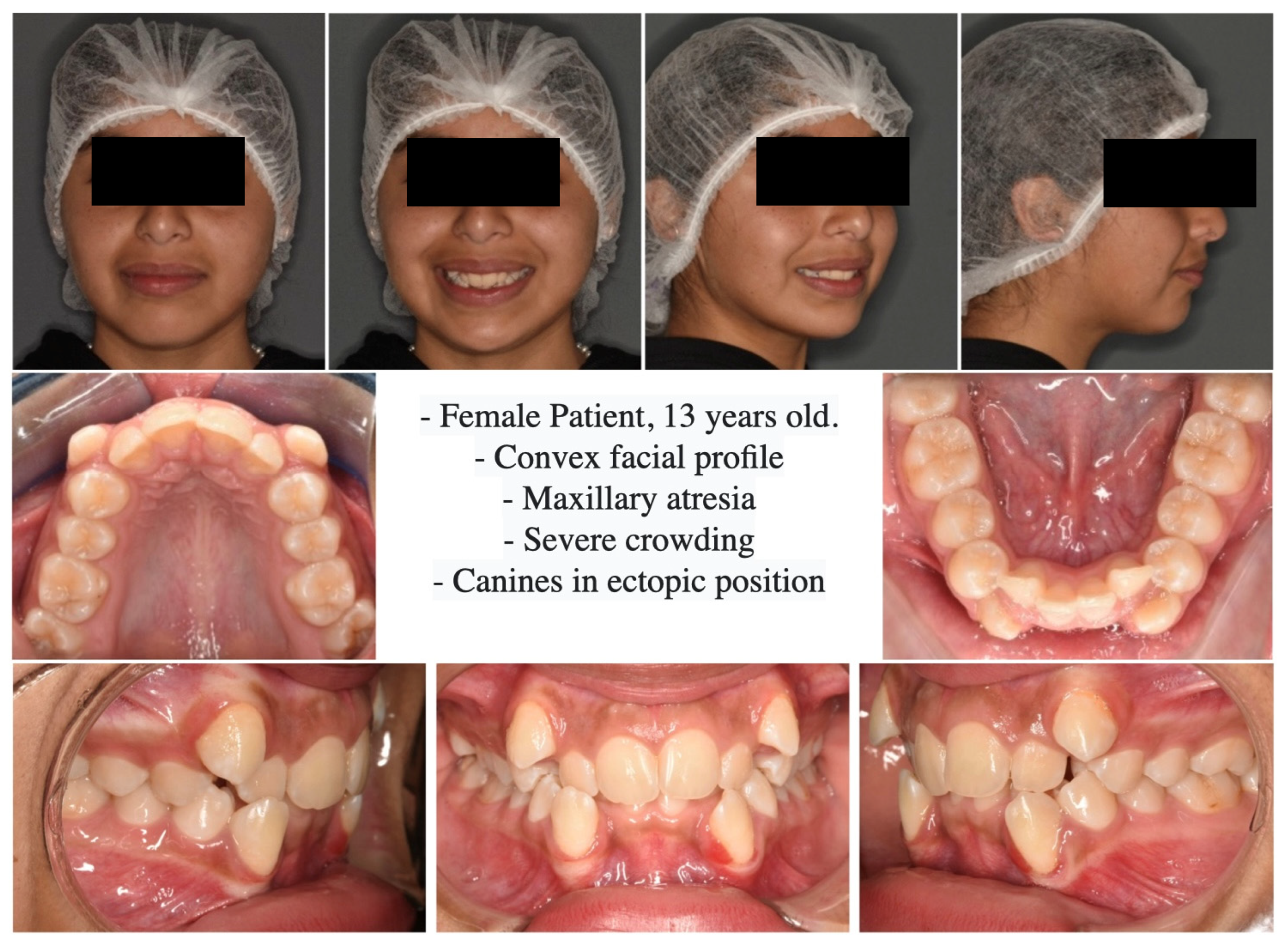 Medicina 60 01784 g001 Medicina 60 01784 g001