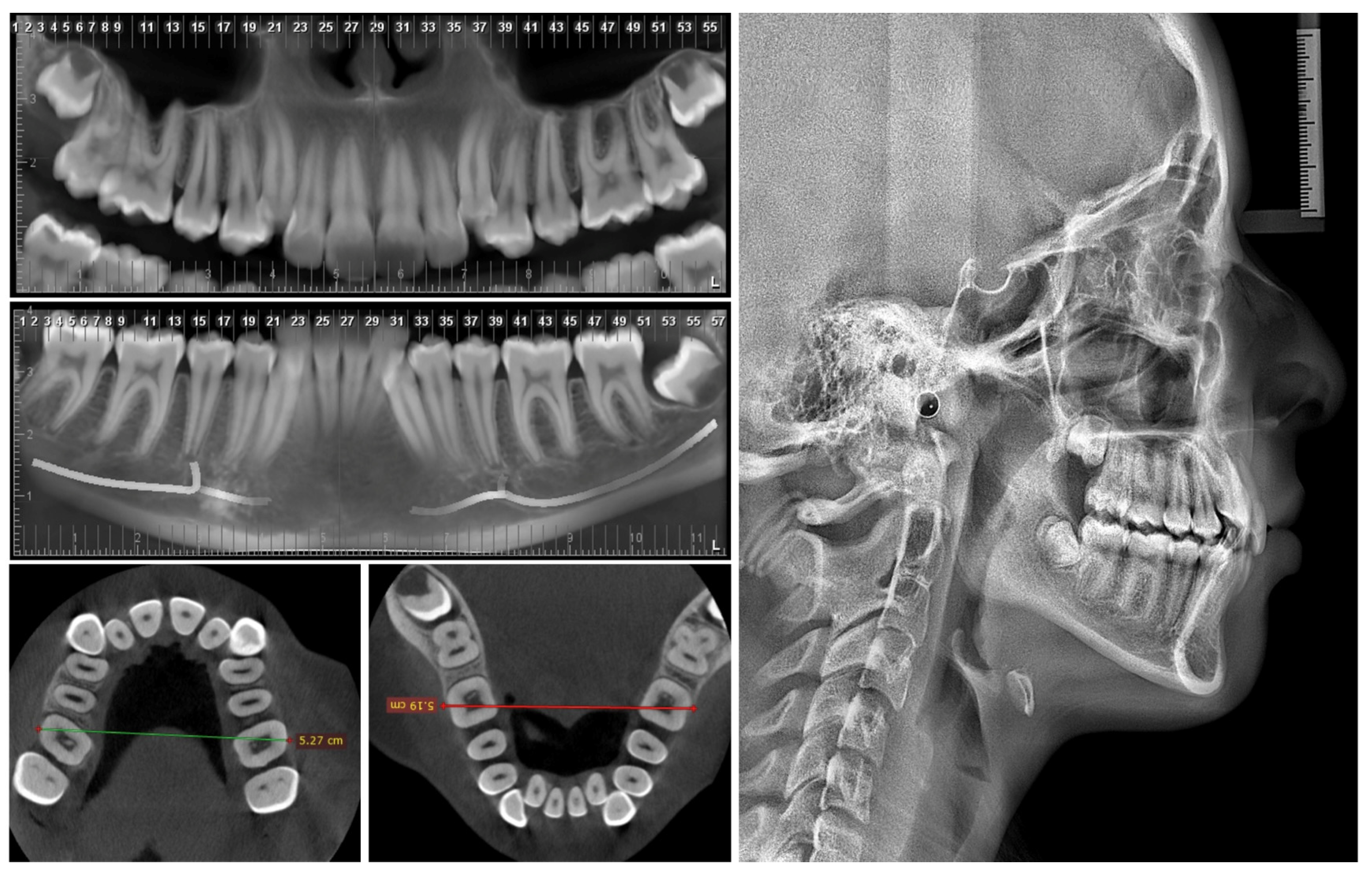 Medicina 60 01784 g002 Medicina 60 01784 g002