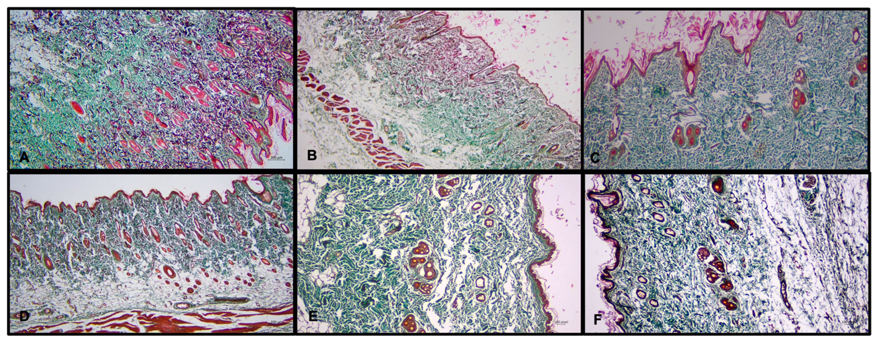 Medicina 60 01788 g004